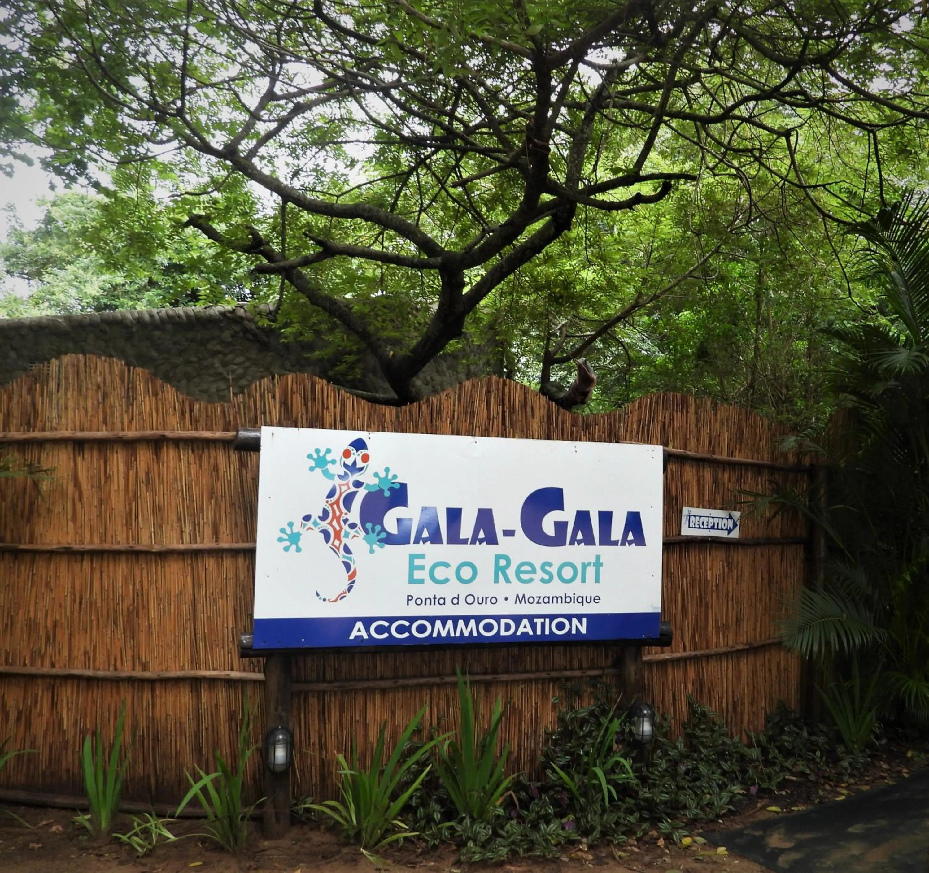 Property logo or sign in Gala Gala Eco Resort