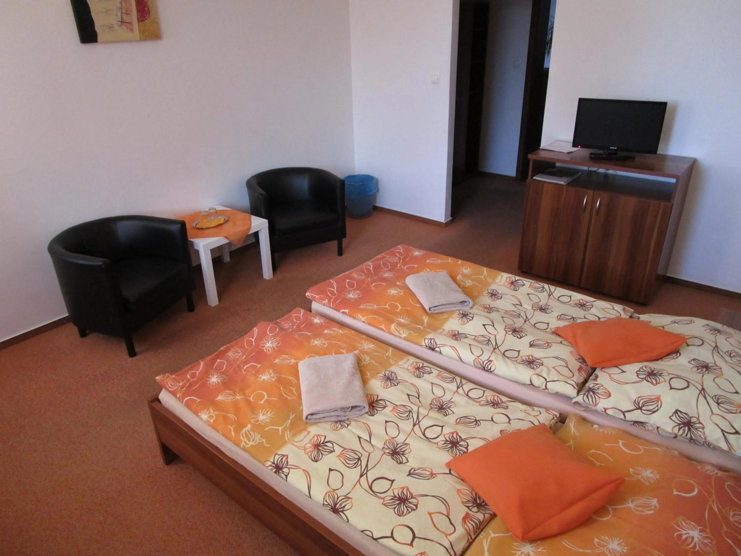 TV and multimedia, Bed in Salur