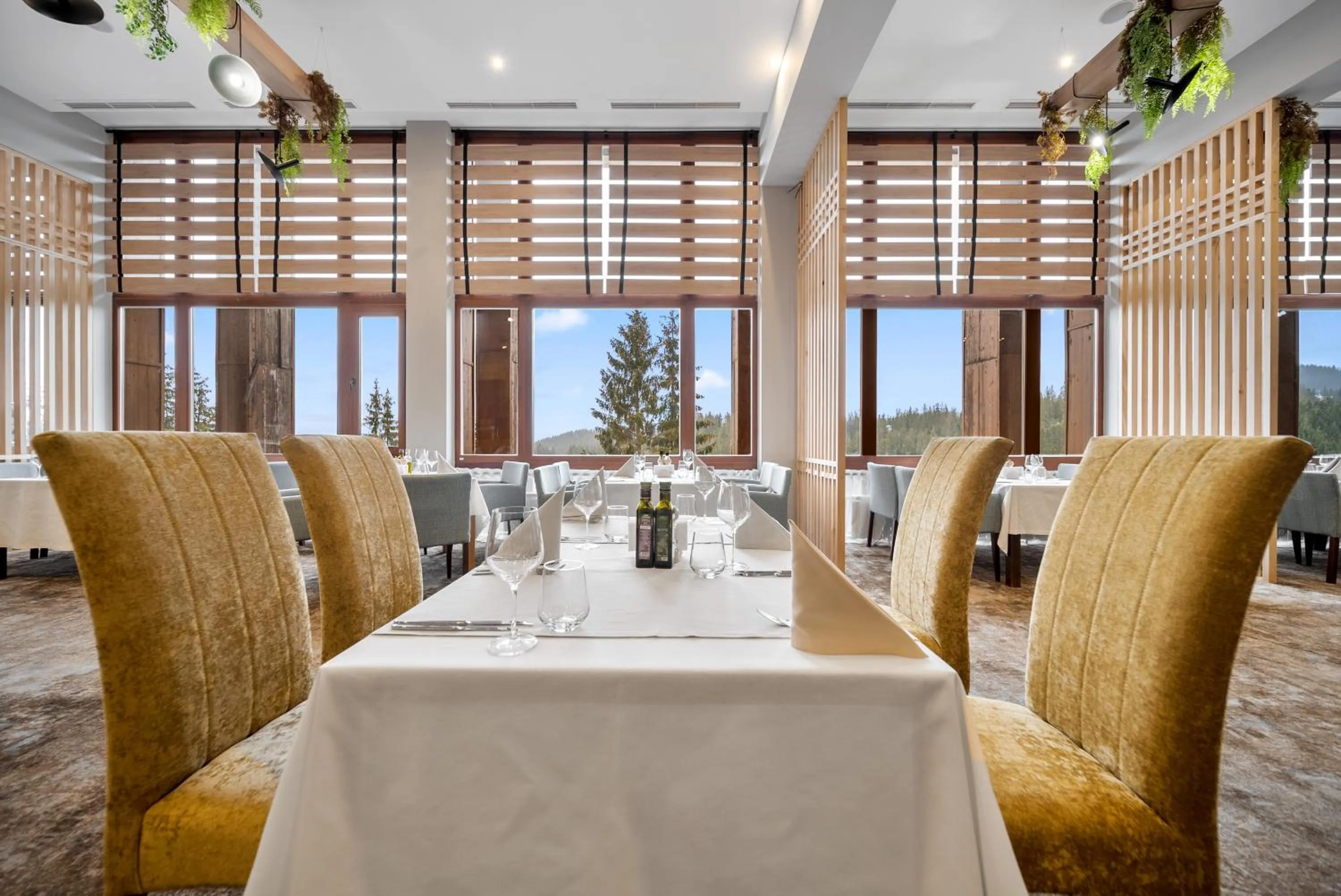 Restaurant/places to eat in Hotel Orlovetz