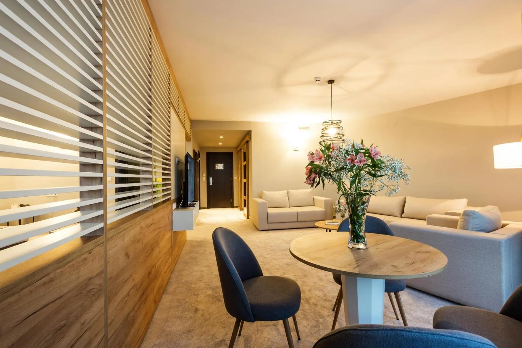 TV and multimedia in Hotel Orlovetz