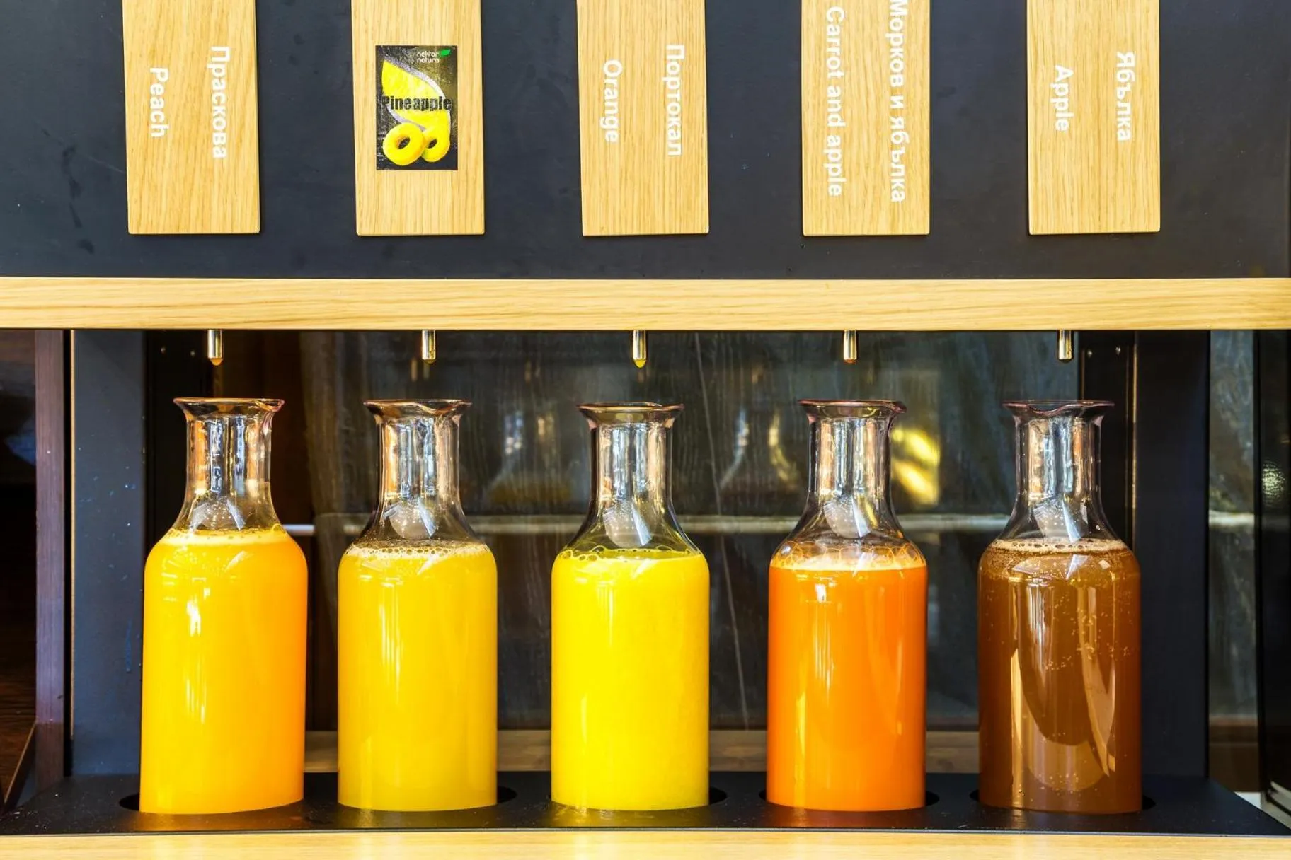 Restaurant/places to eat in Hotel Orlovetz