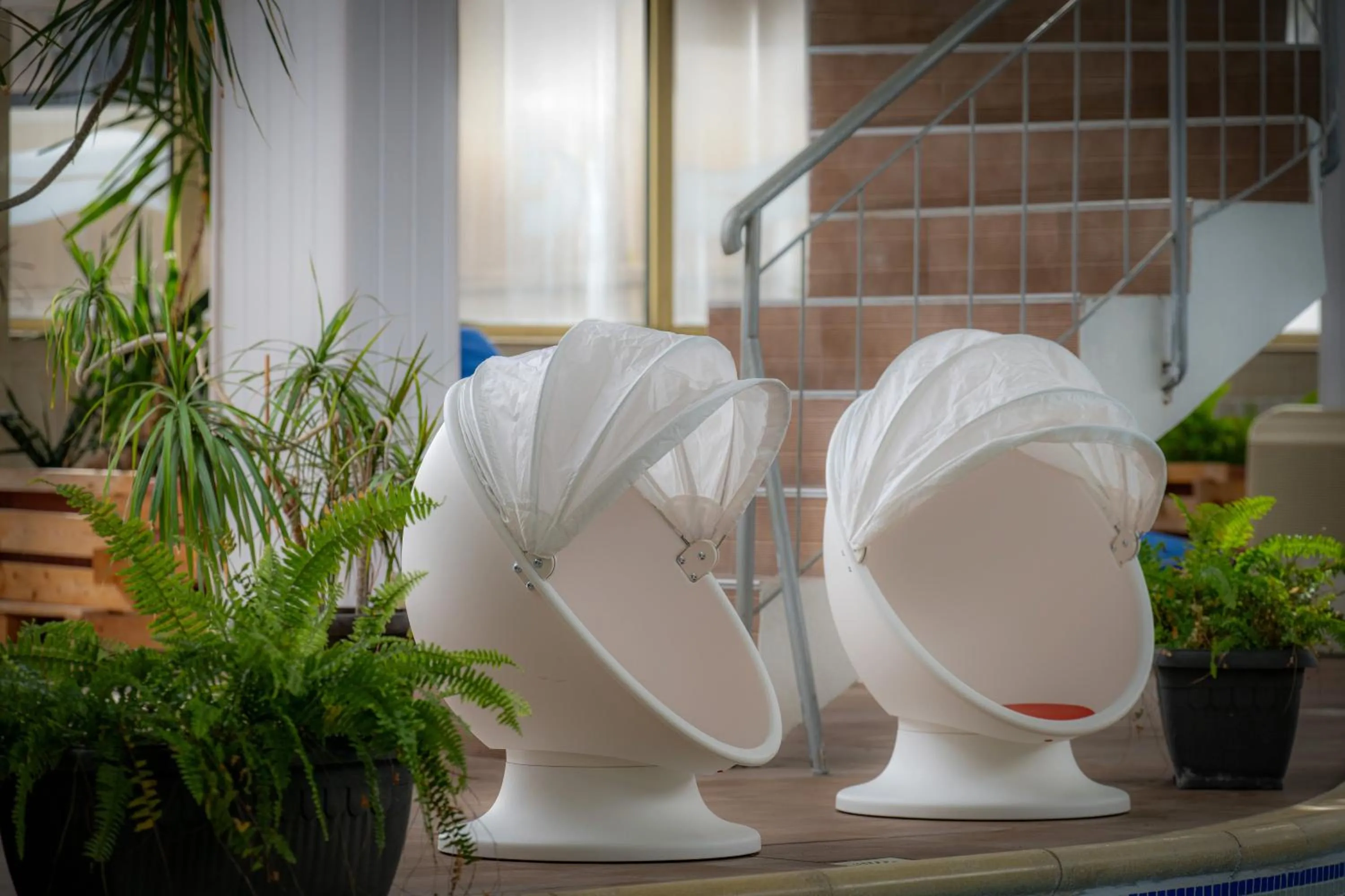 Snezhanka Hotel Pamporovo - Half Board & Swimming pool