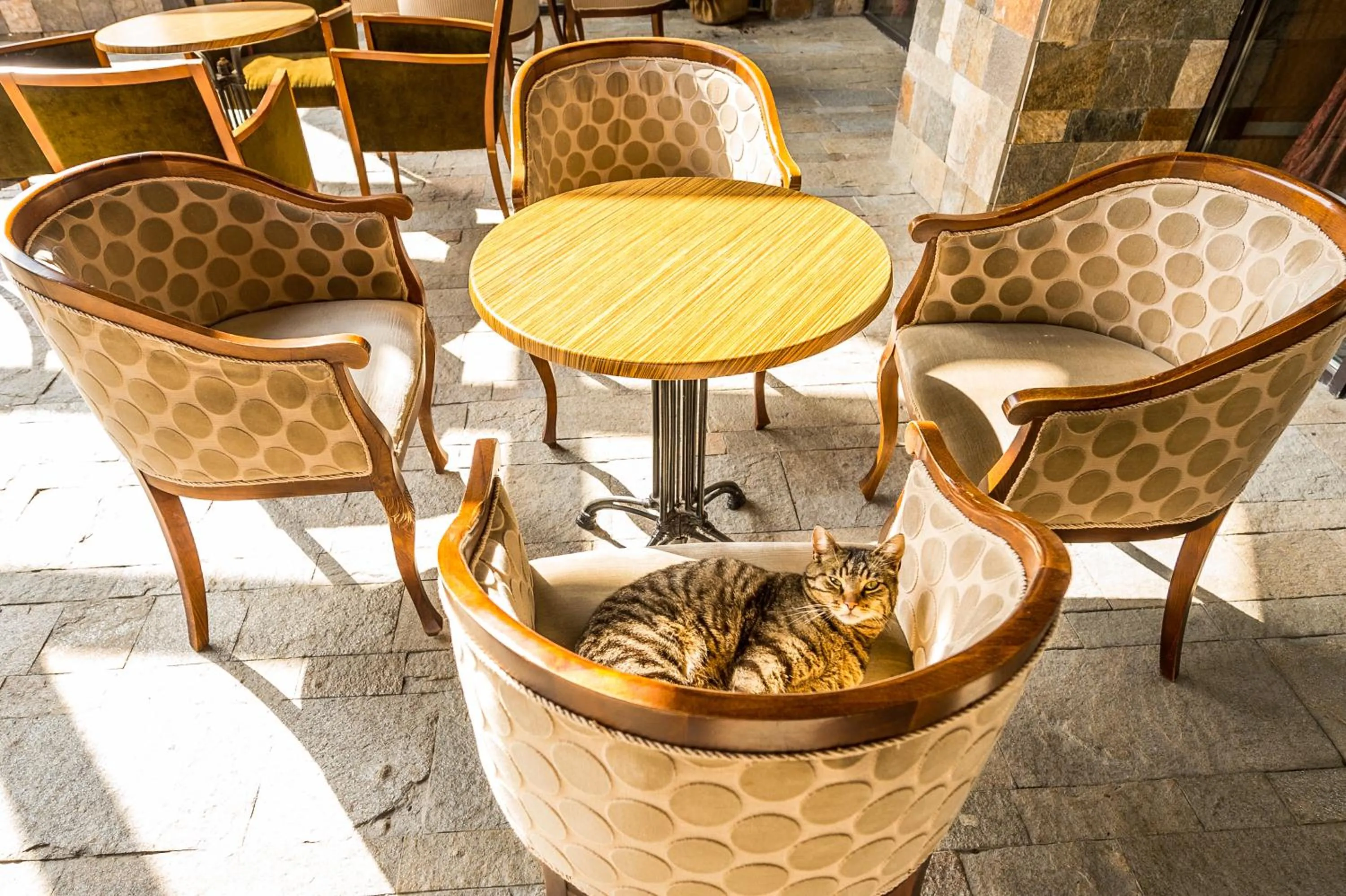 Snezhanka Hotel Pamporovo - Half Board & Swimming pool