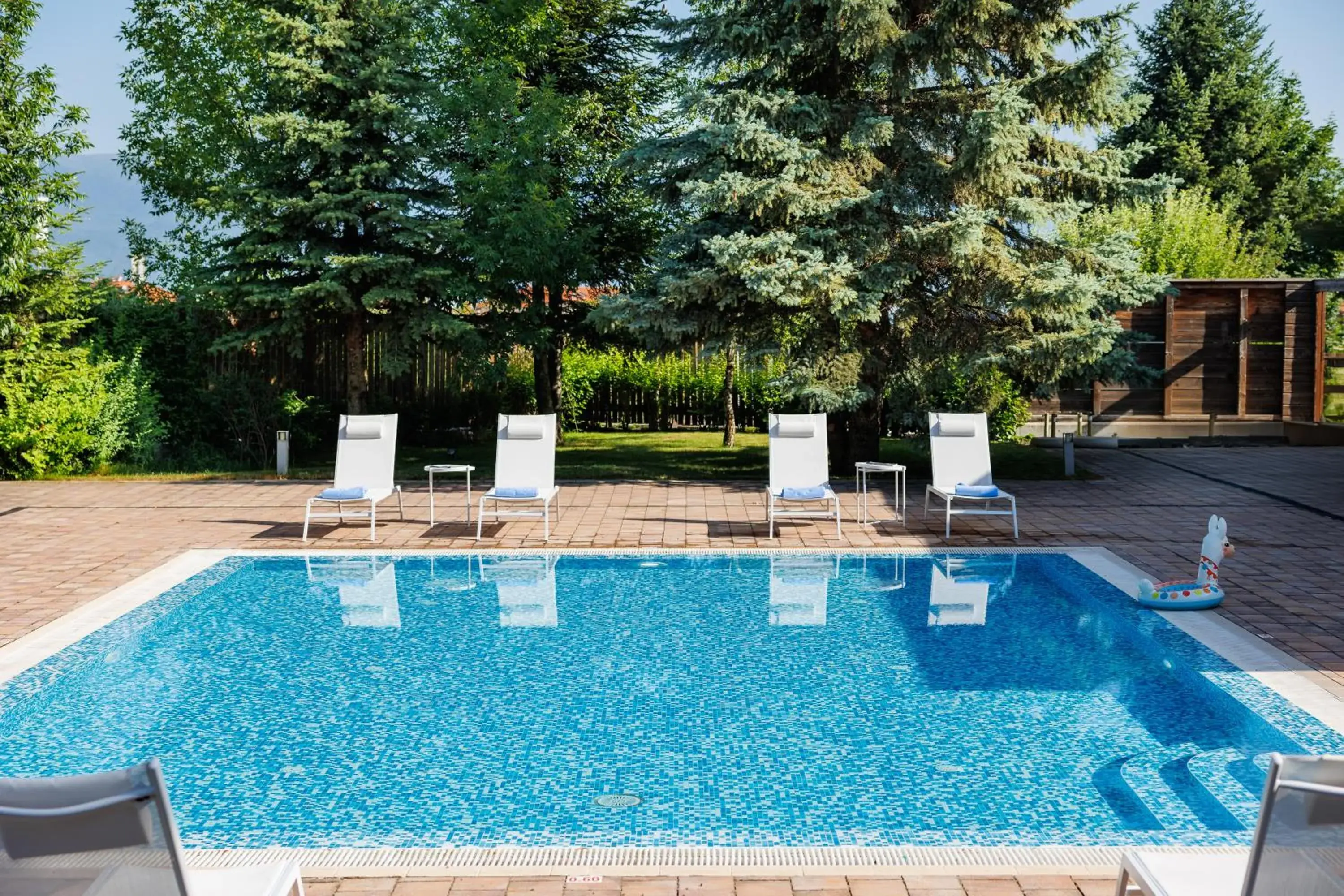 Swimming pool in Four Points by Sheraton Bansko Swimming pool in Four Points by Sheraton Bansko
