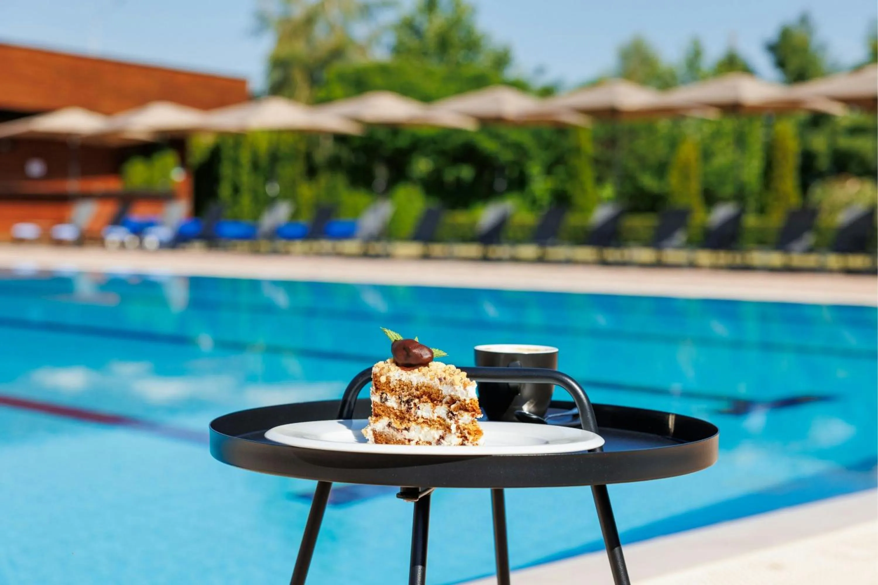 Swimming pool in Four Points by Sheraton Bansko