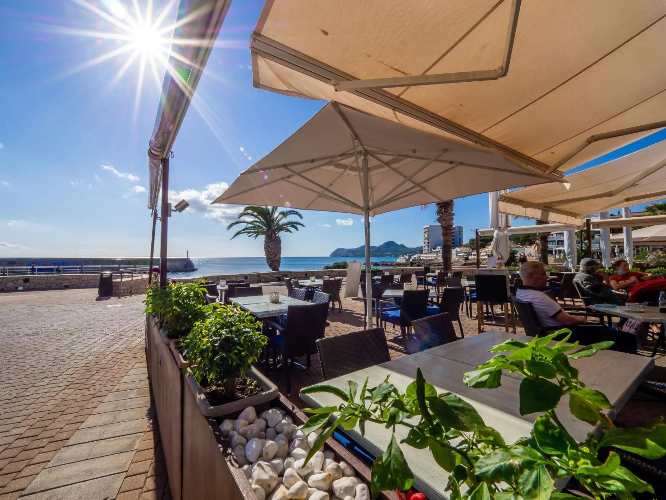 Restaurant/places to eat in Hostal Port Corona