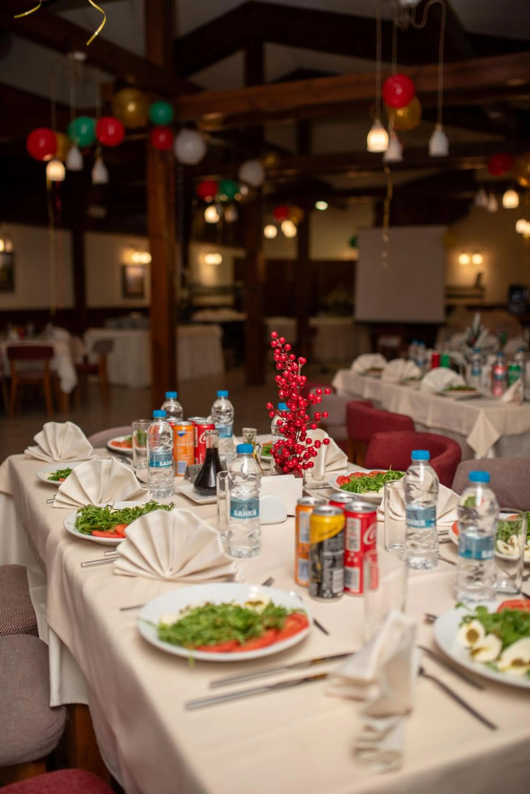 Restaurant/places to eat in Hotel Pirin