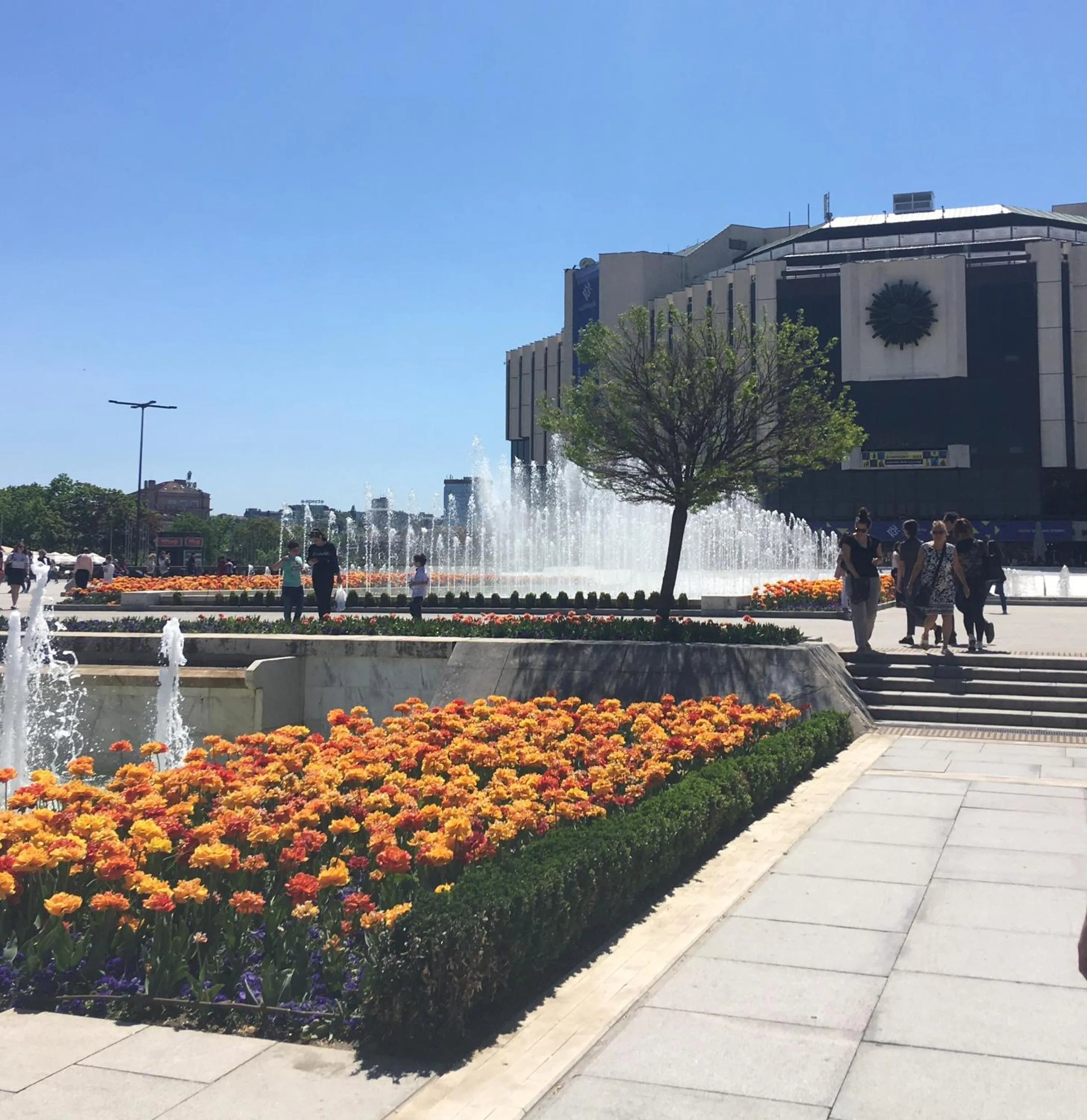 Hotel Alabin Central