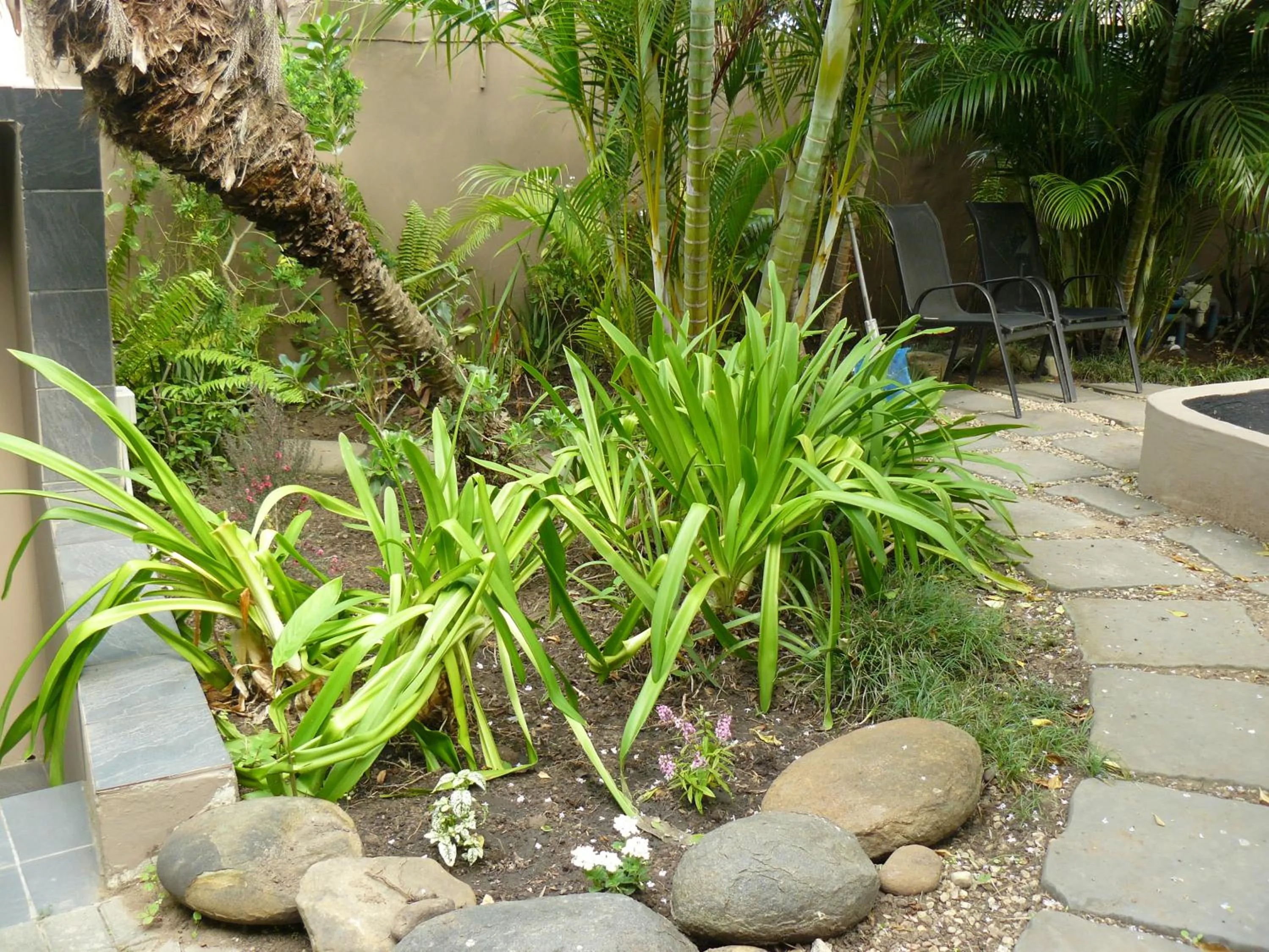 Garden in See More Guest House