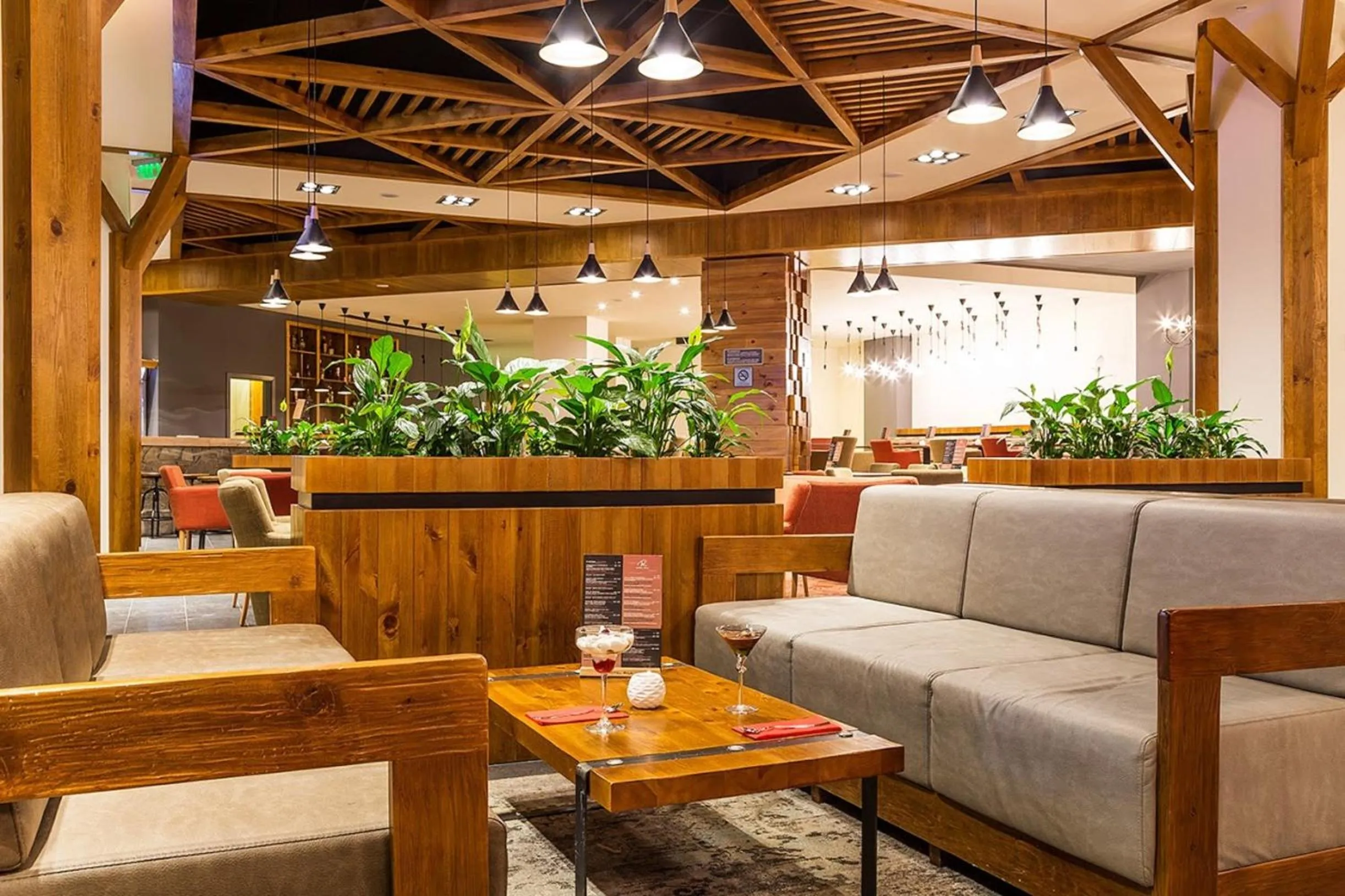 Skiing in Rila Hotel Borovets