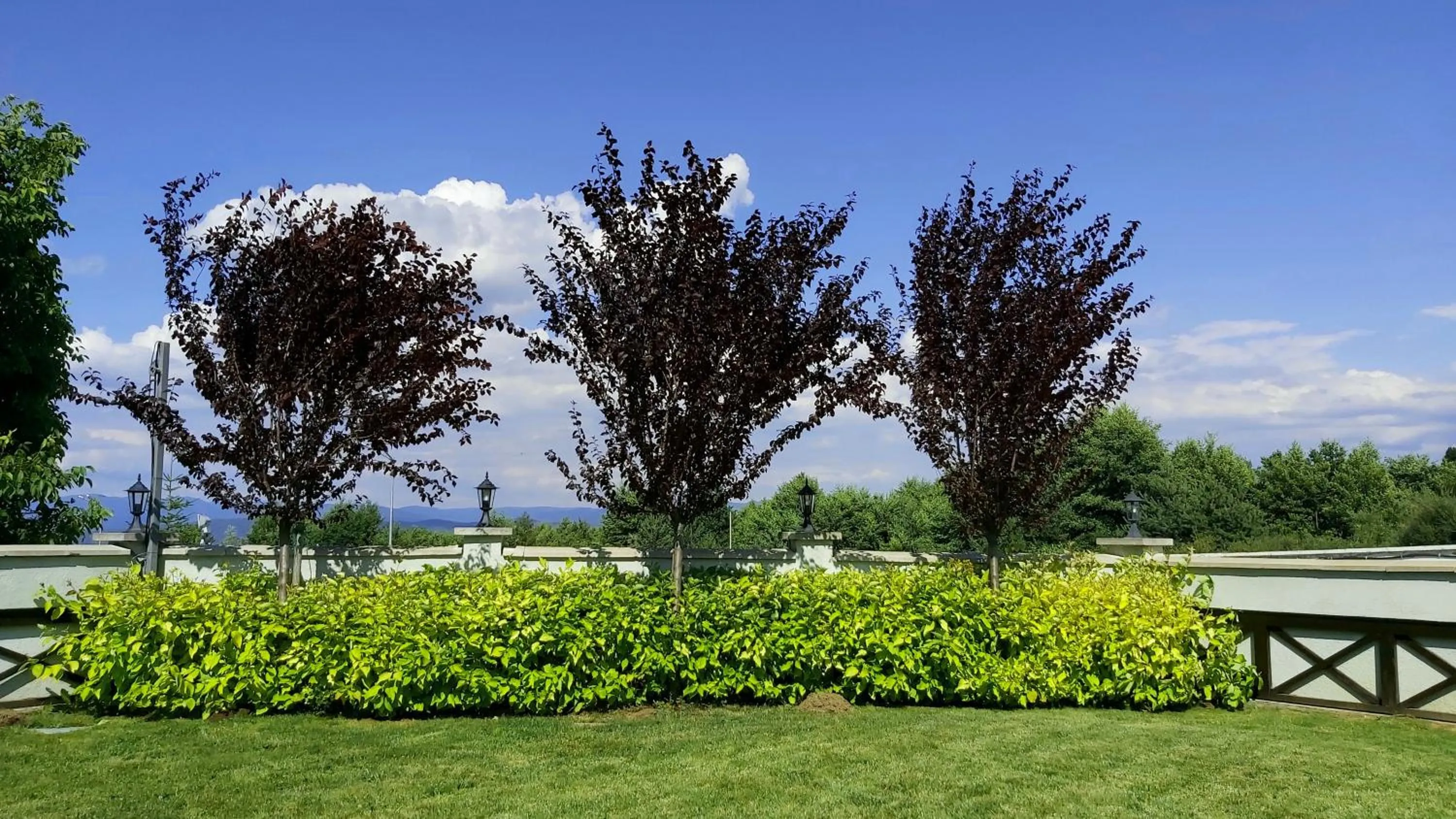 Natural landscape in Regnum Bansko Ski Hotel & SPA