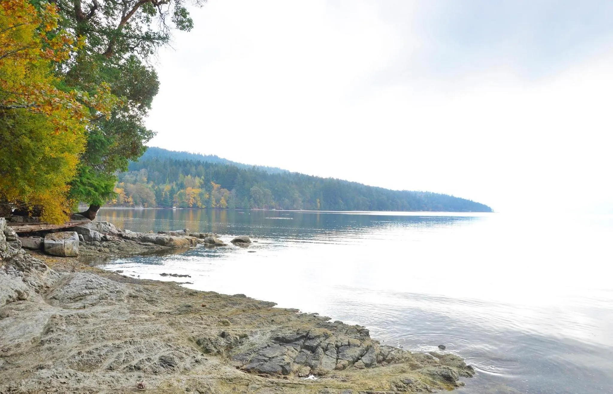 Beach in Coles Bay Vacation Retreat