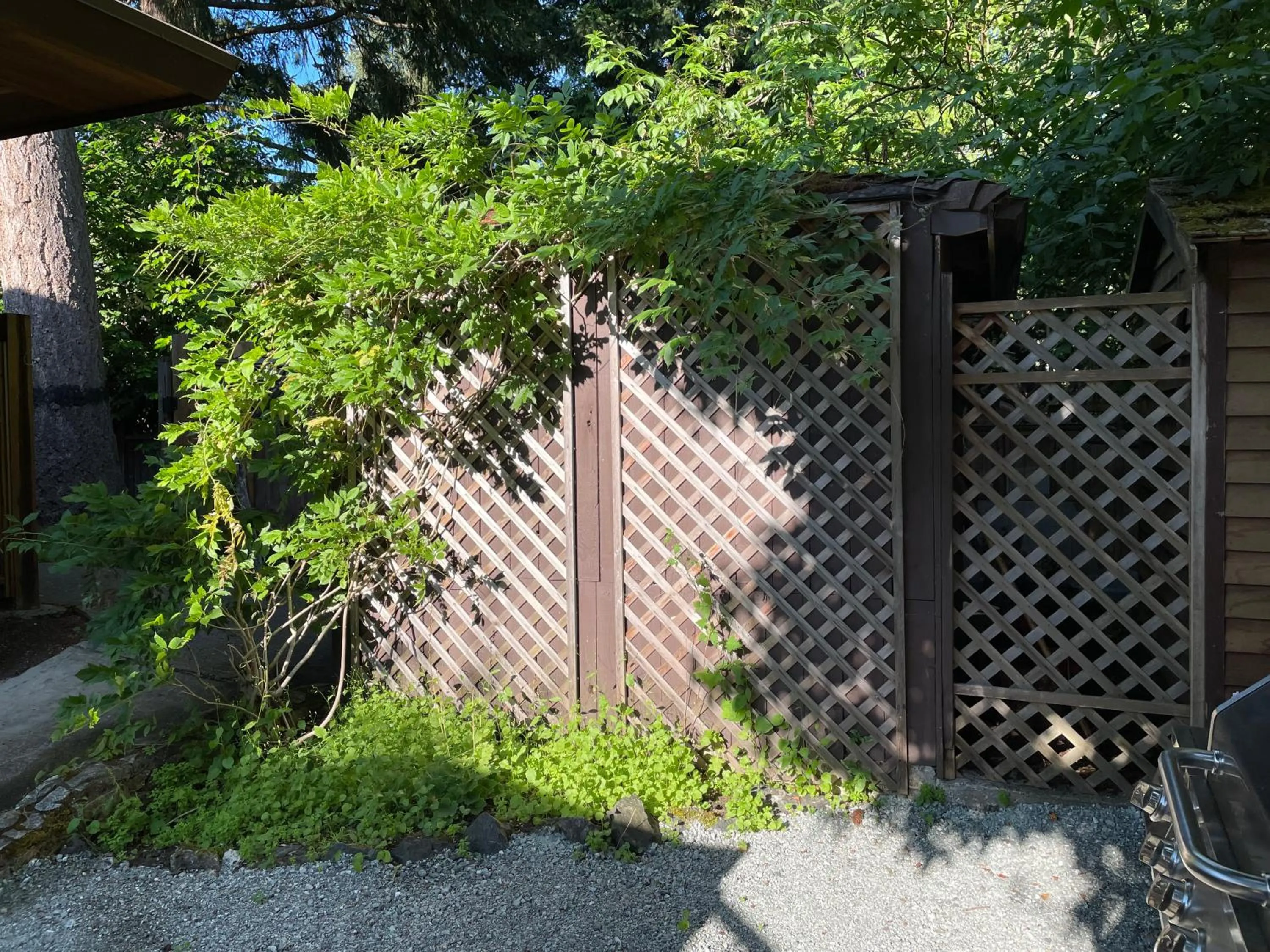 Garden in Coles Bay Vacation Retreat