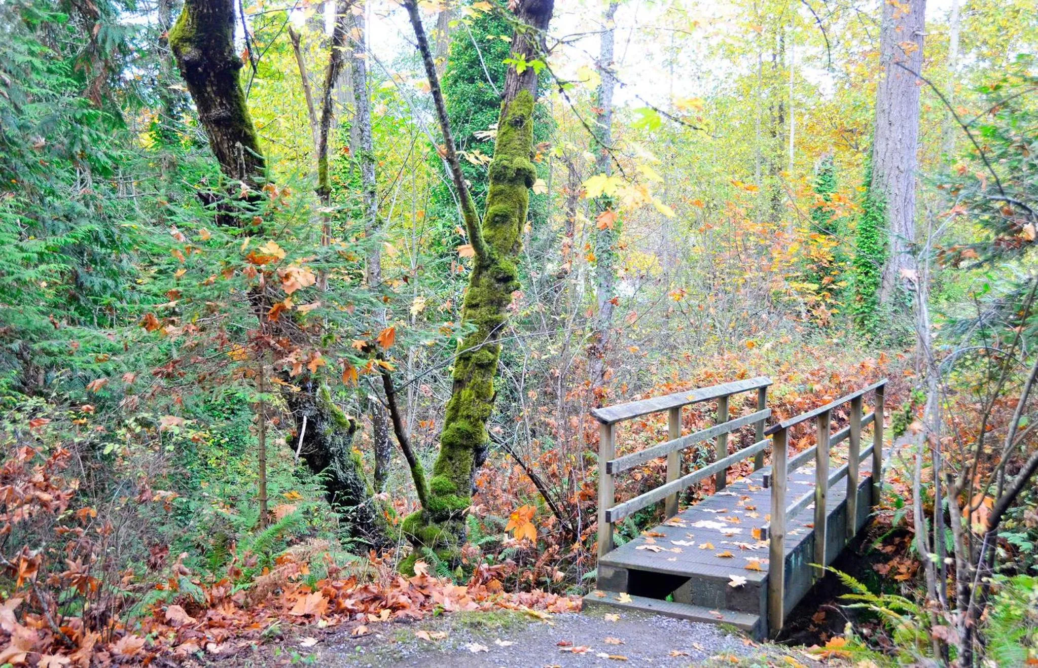 Hiking in Coles Bay Vacation Retreat