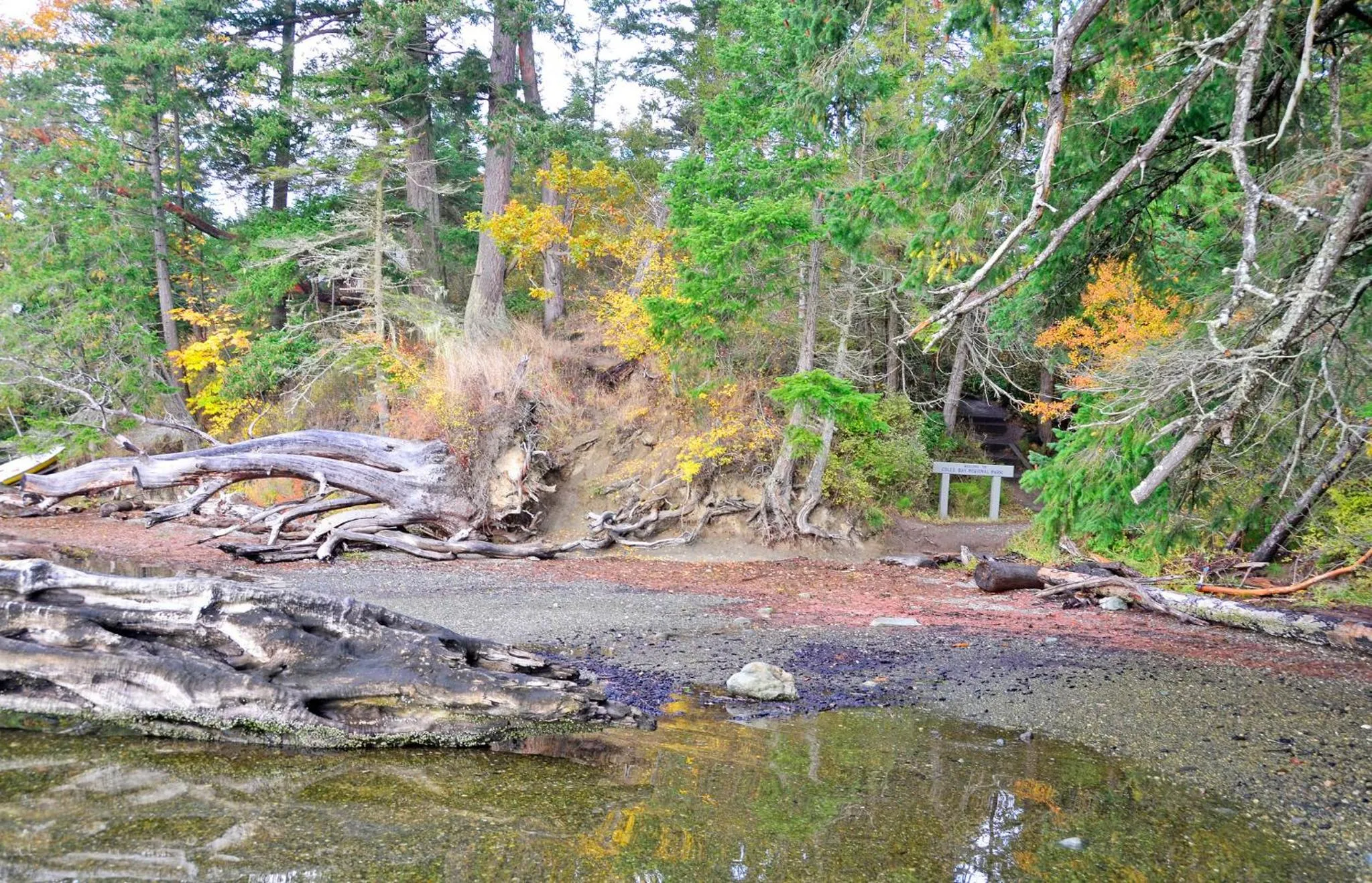 Natural landscape in Coles Bay Vacation Retreat