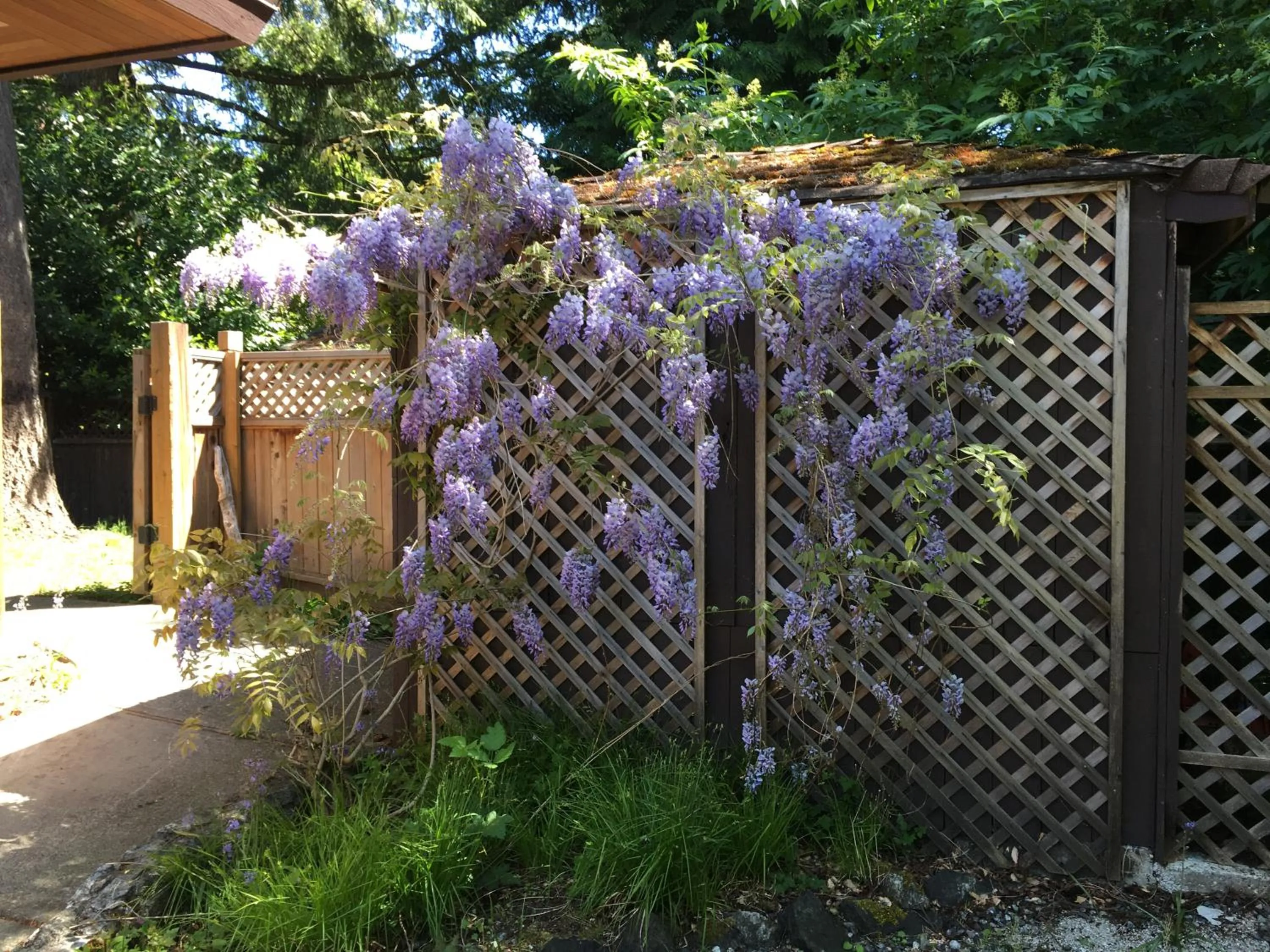 Coles Bay Vacation Retreat