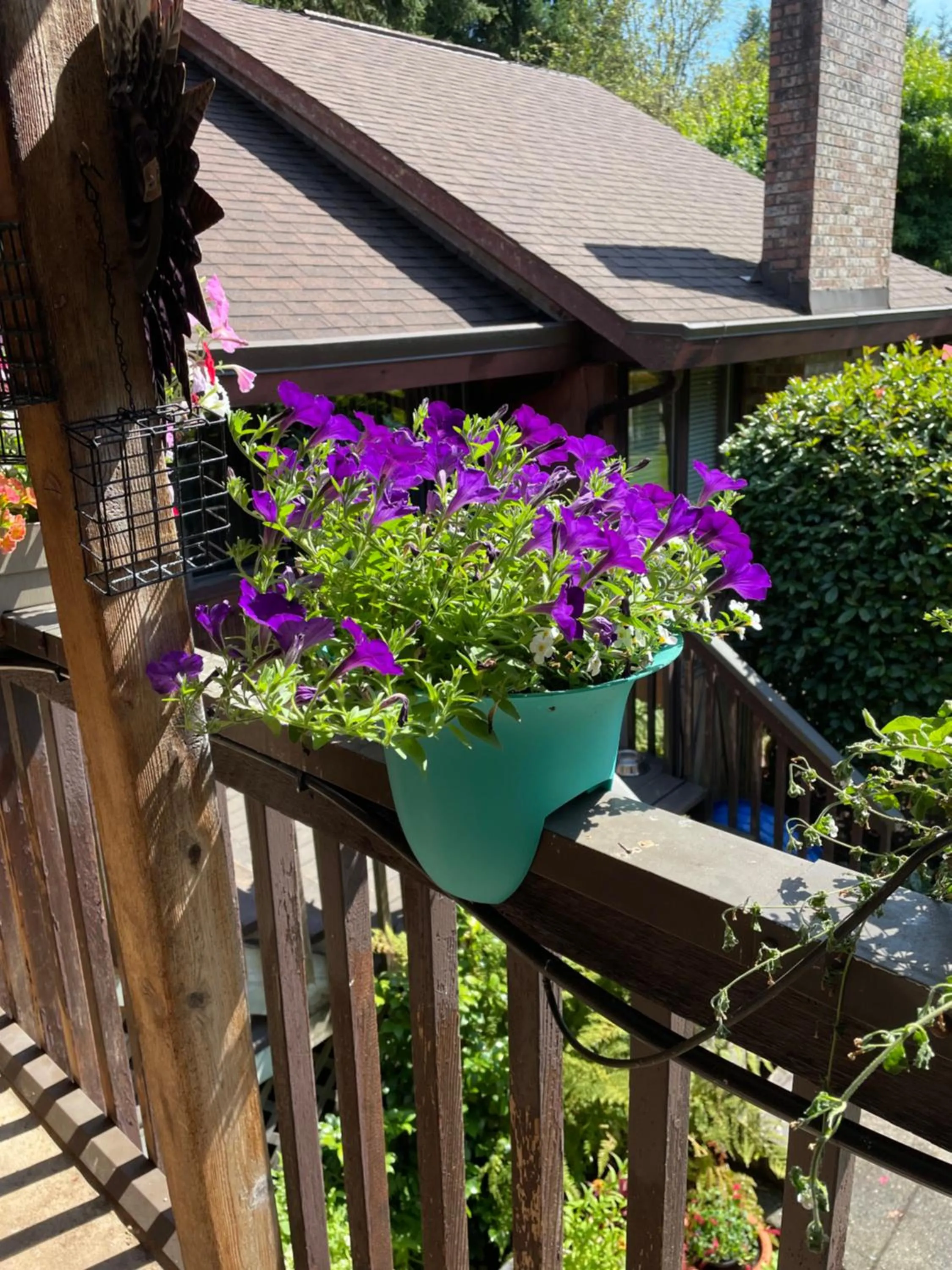 Garden in Coles Bay Vacation Retreat