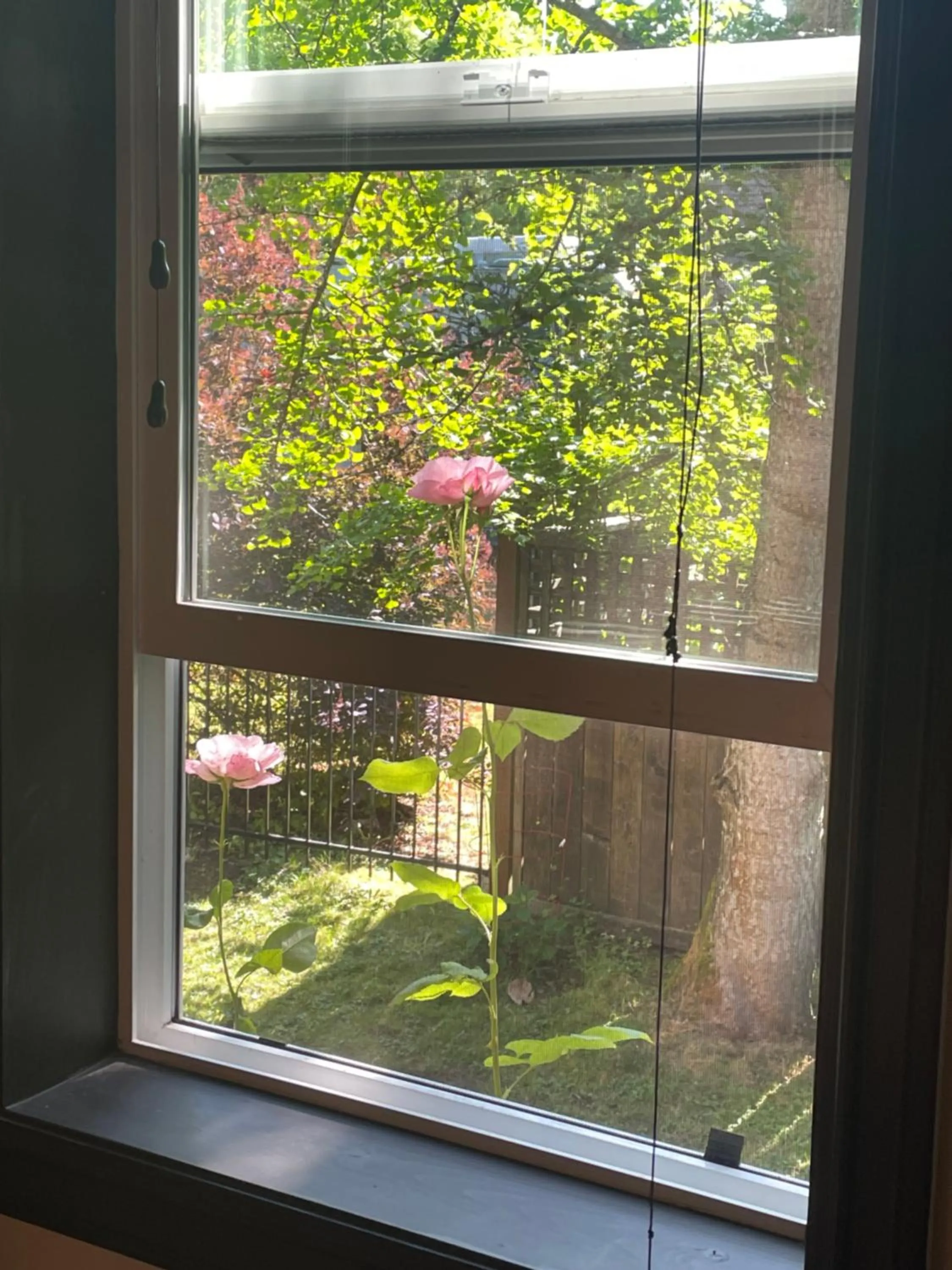 Coles Bay Vacation Retreat