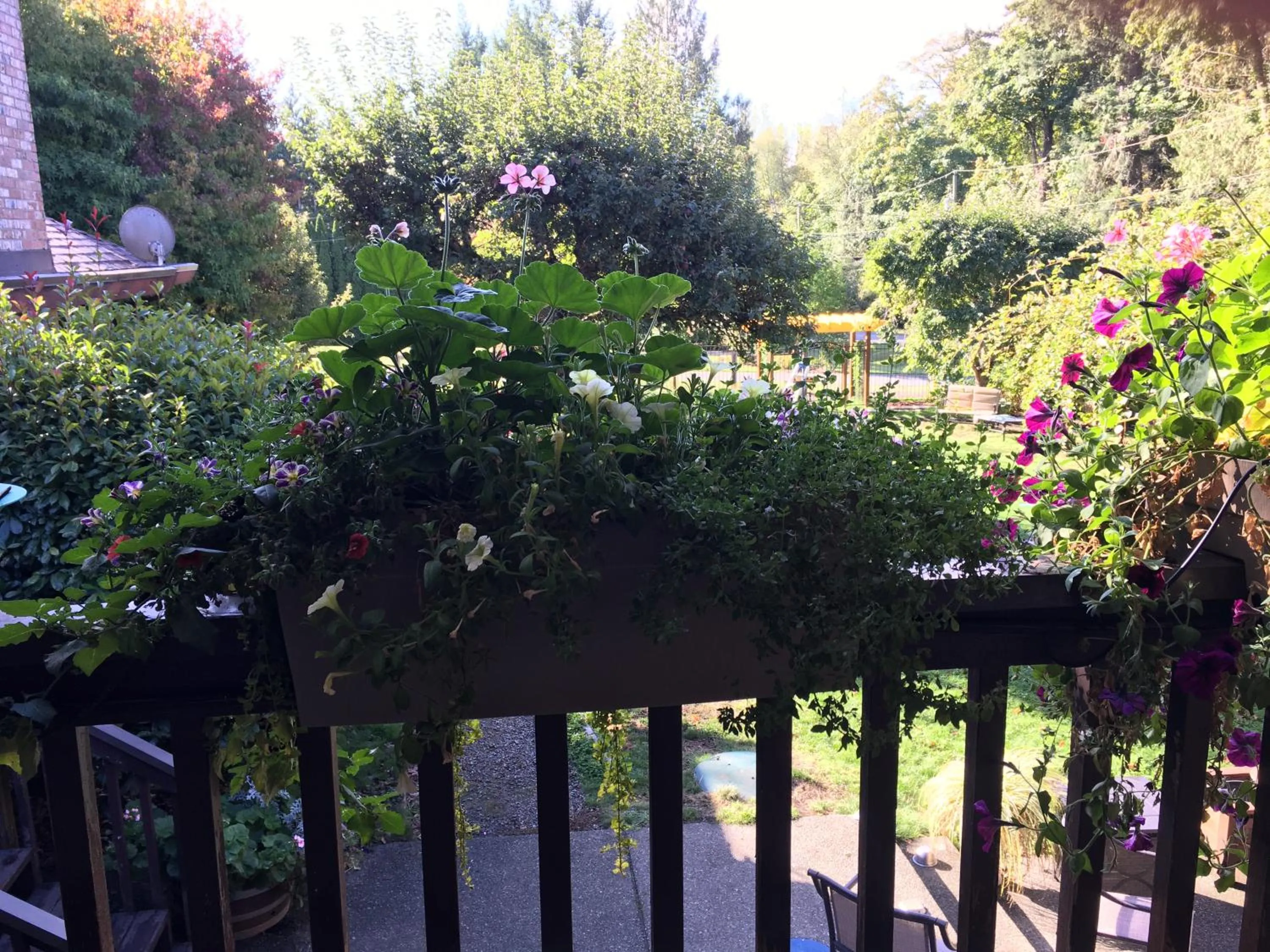 Garden in Coles Bay Vacation Retreat