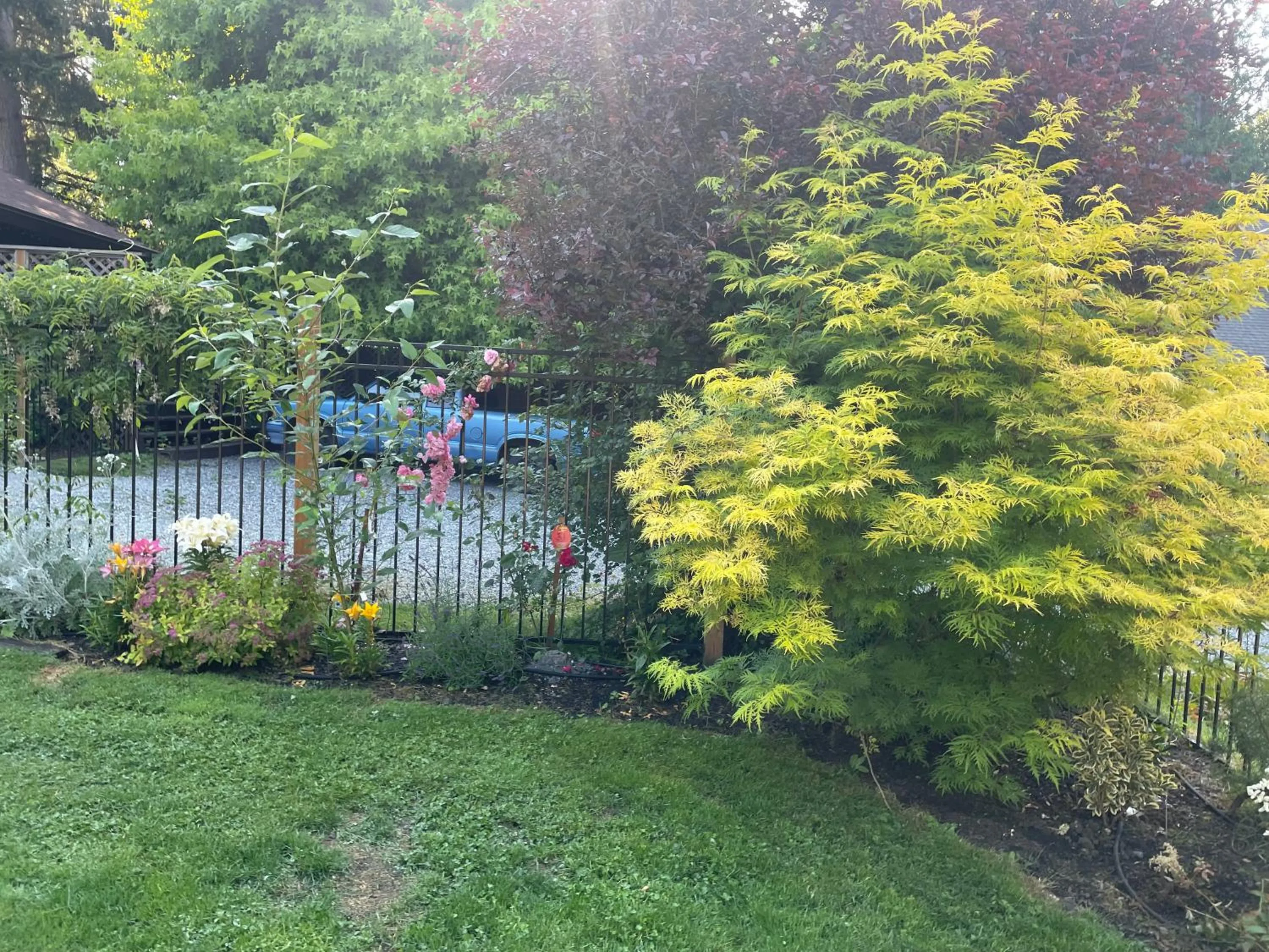 Garden in Coles Bay Vacation Retreat