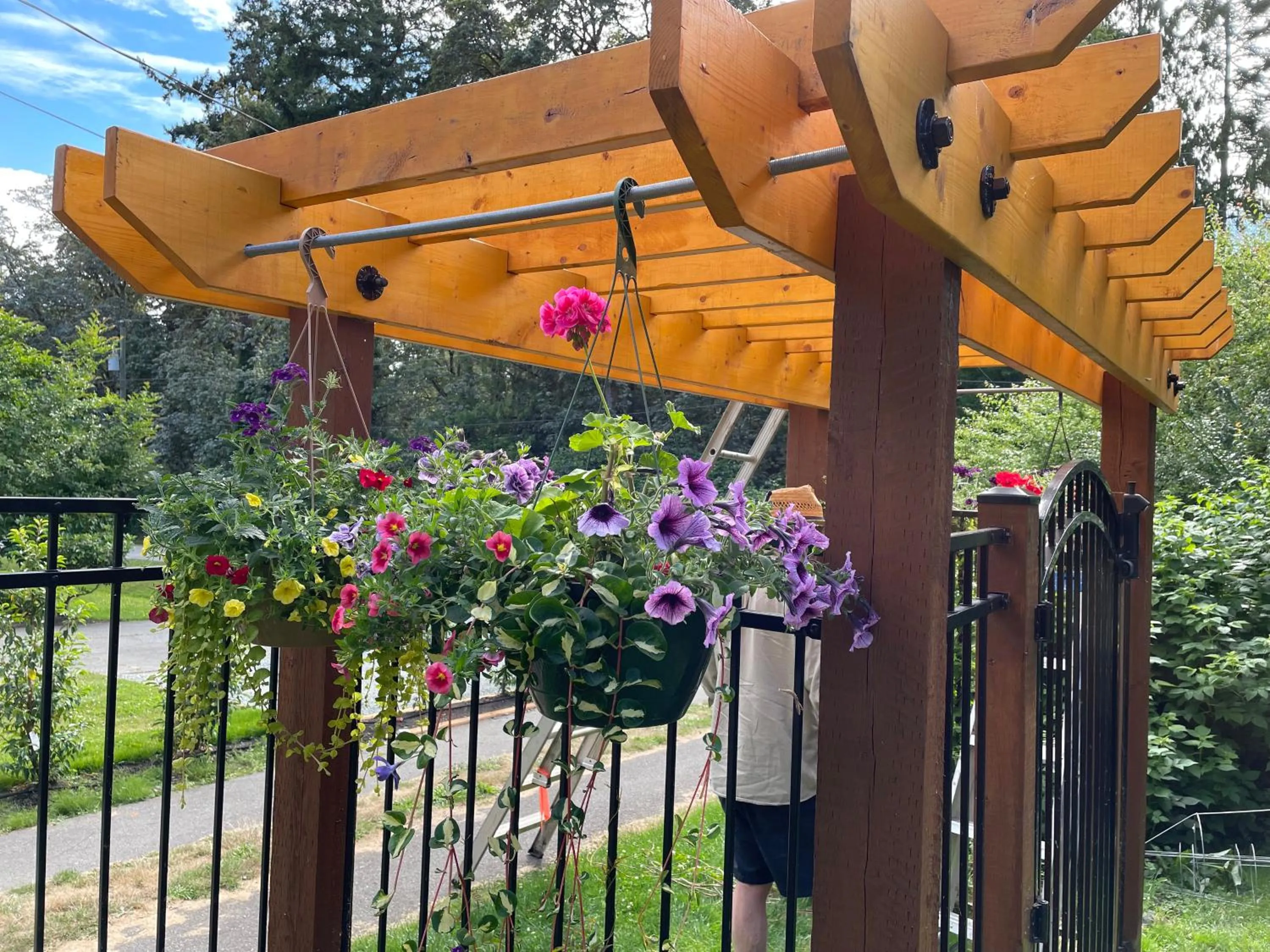 Garden in Coles Bay Vacation Retreat