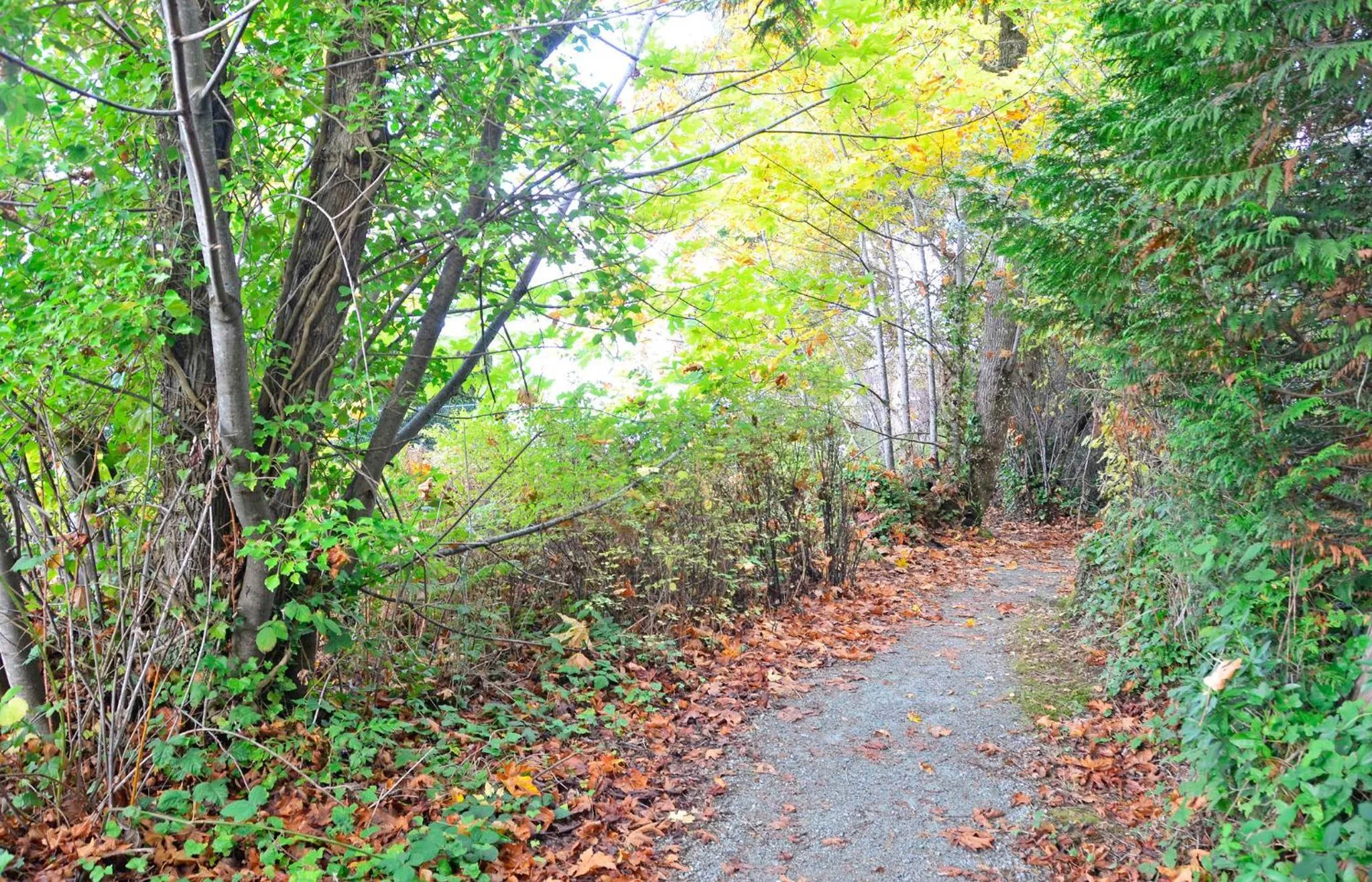 Natural landscape in Coles Bay Vacation Retreat