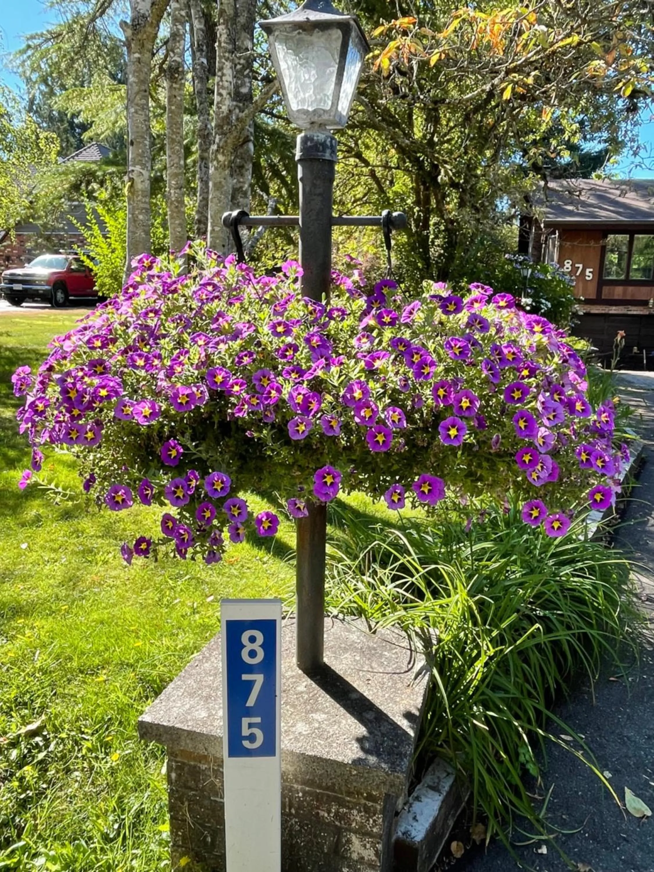 Garden in Coles Bay Vacation Retreat