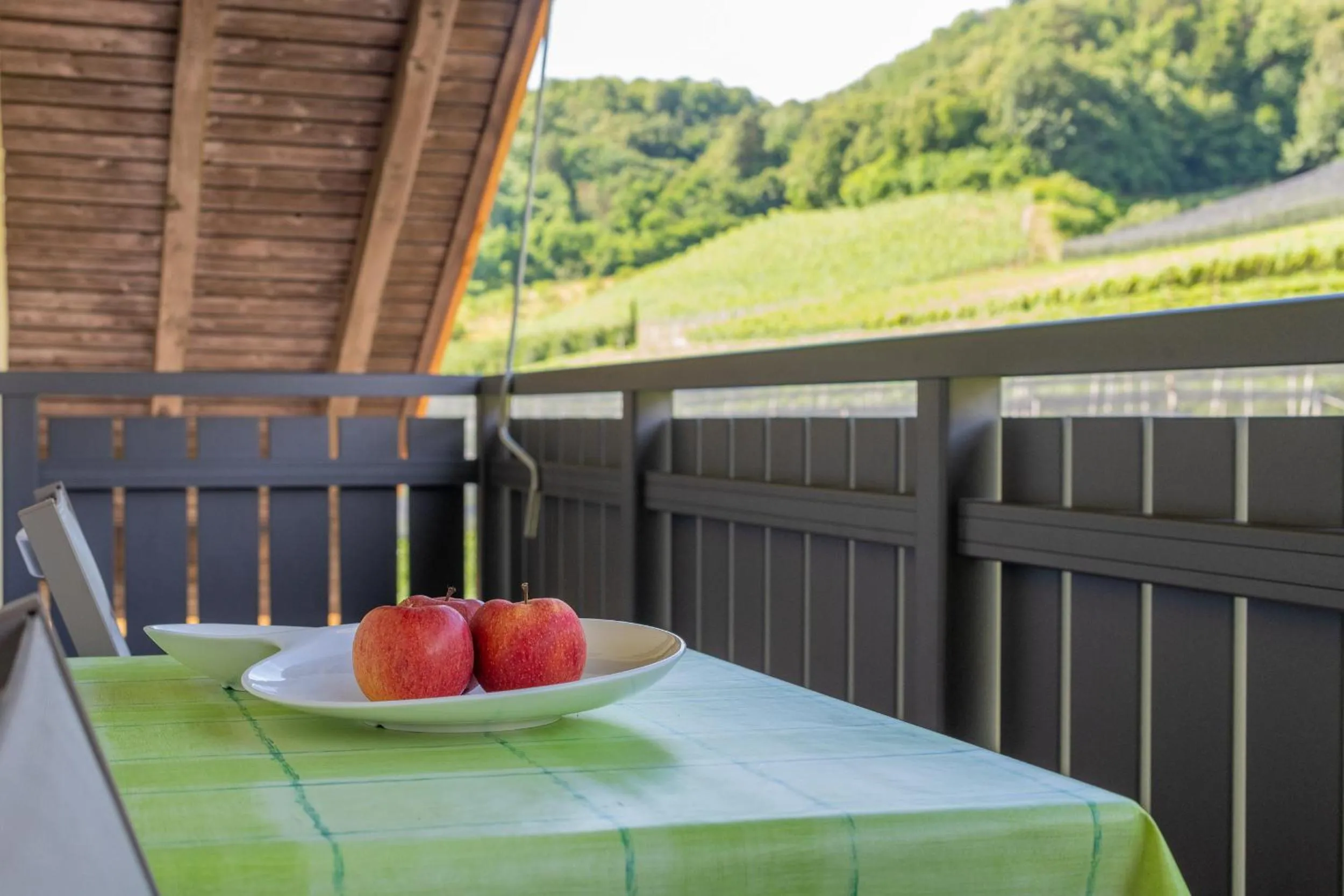 Balcony/Terrace in Haus Stolz