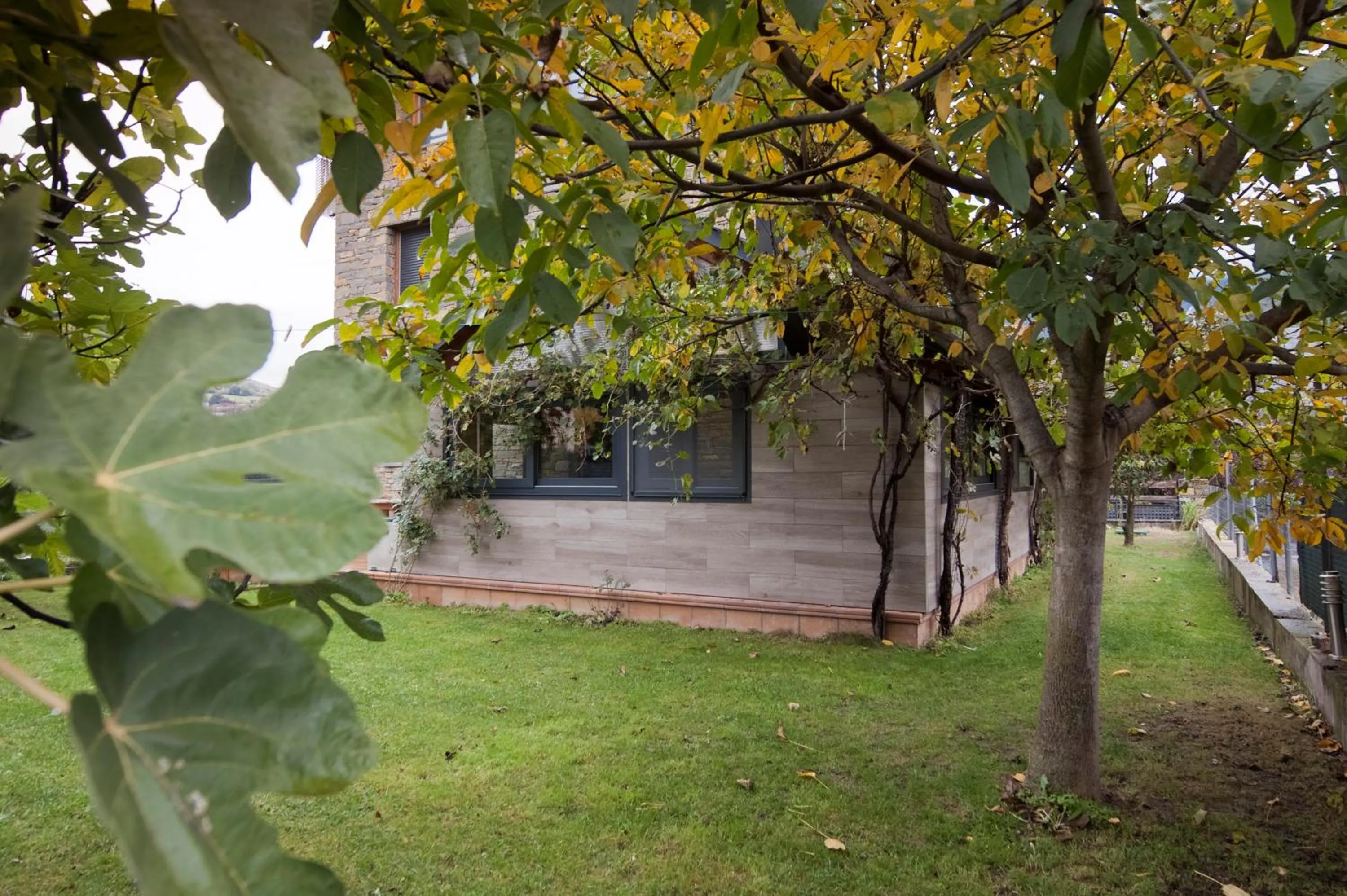 Garden in Can Congost