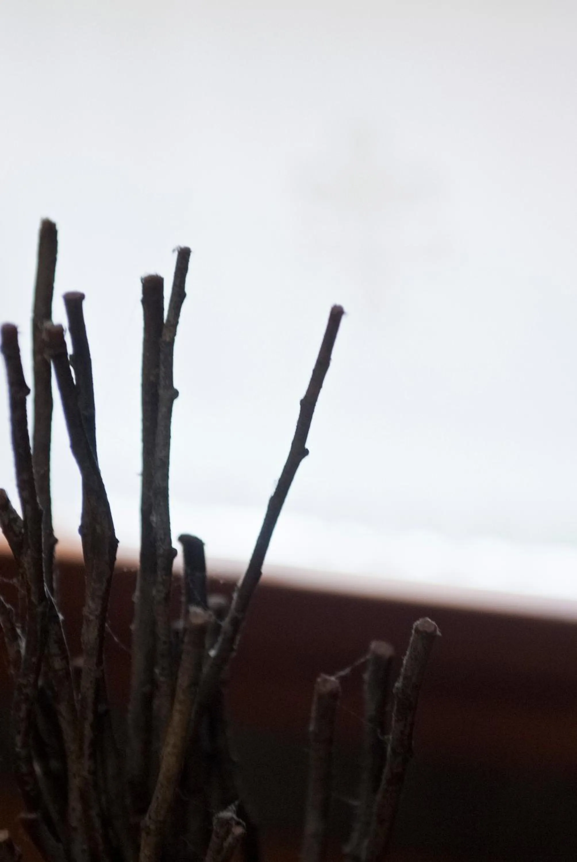 Lobby or reception in Can Congost