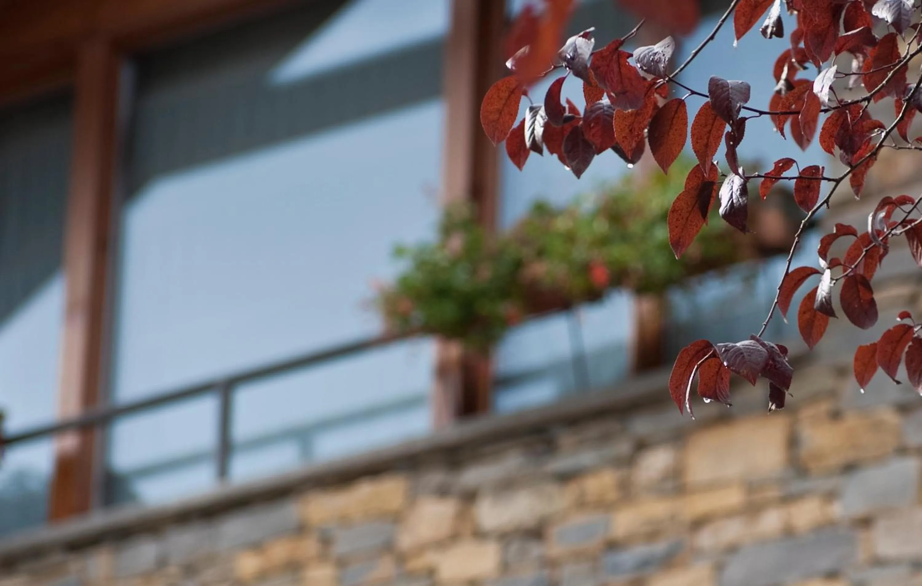 Balcony/Terrace in Can Congost