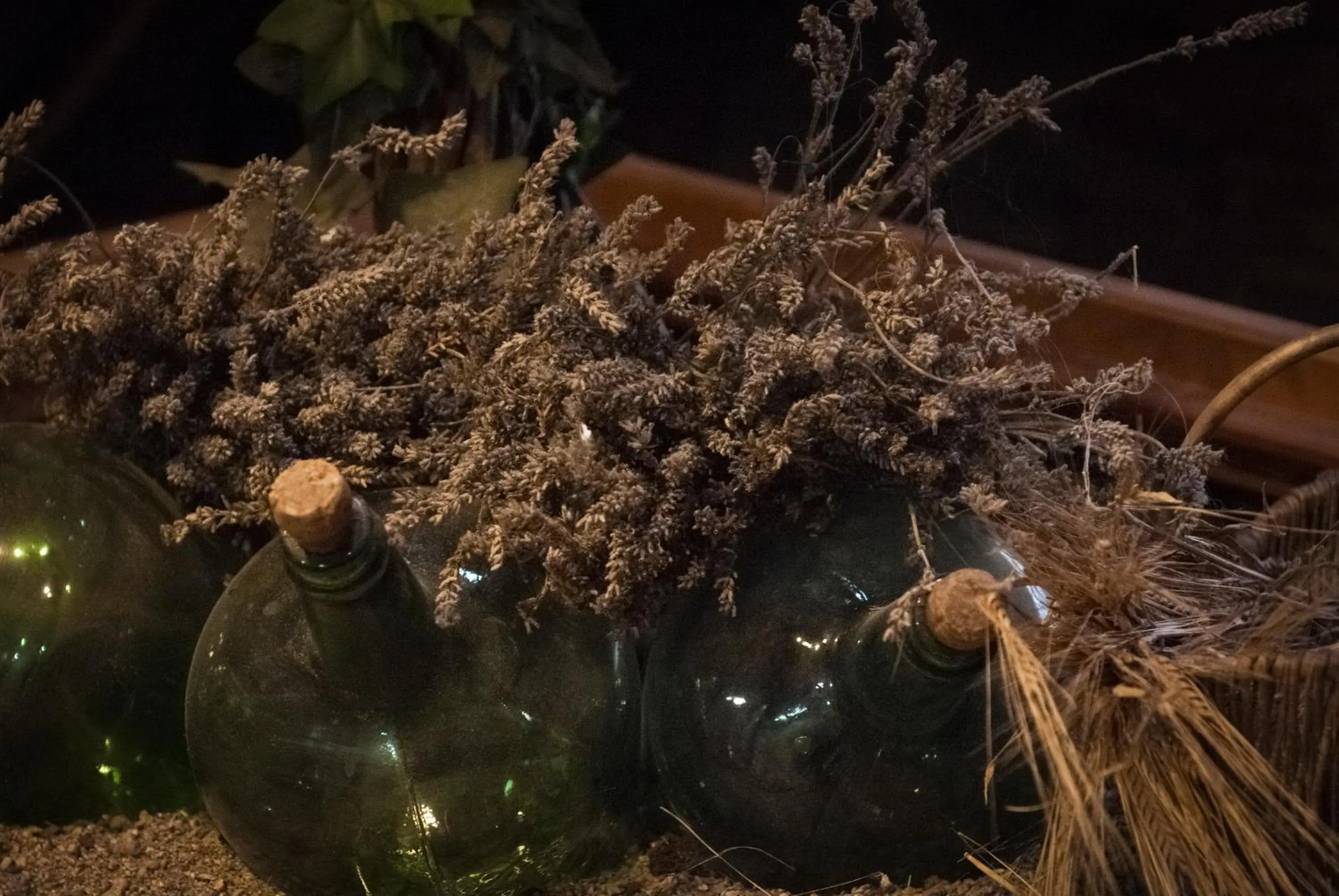 Lobby or reception in Can Congost