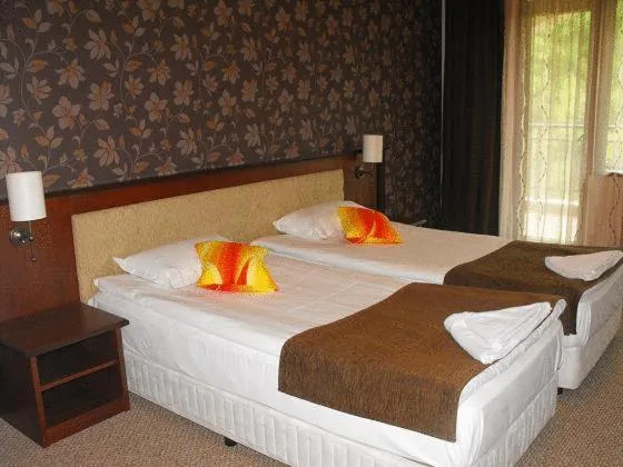 Double Room in Hotel Park