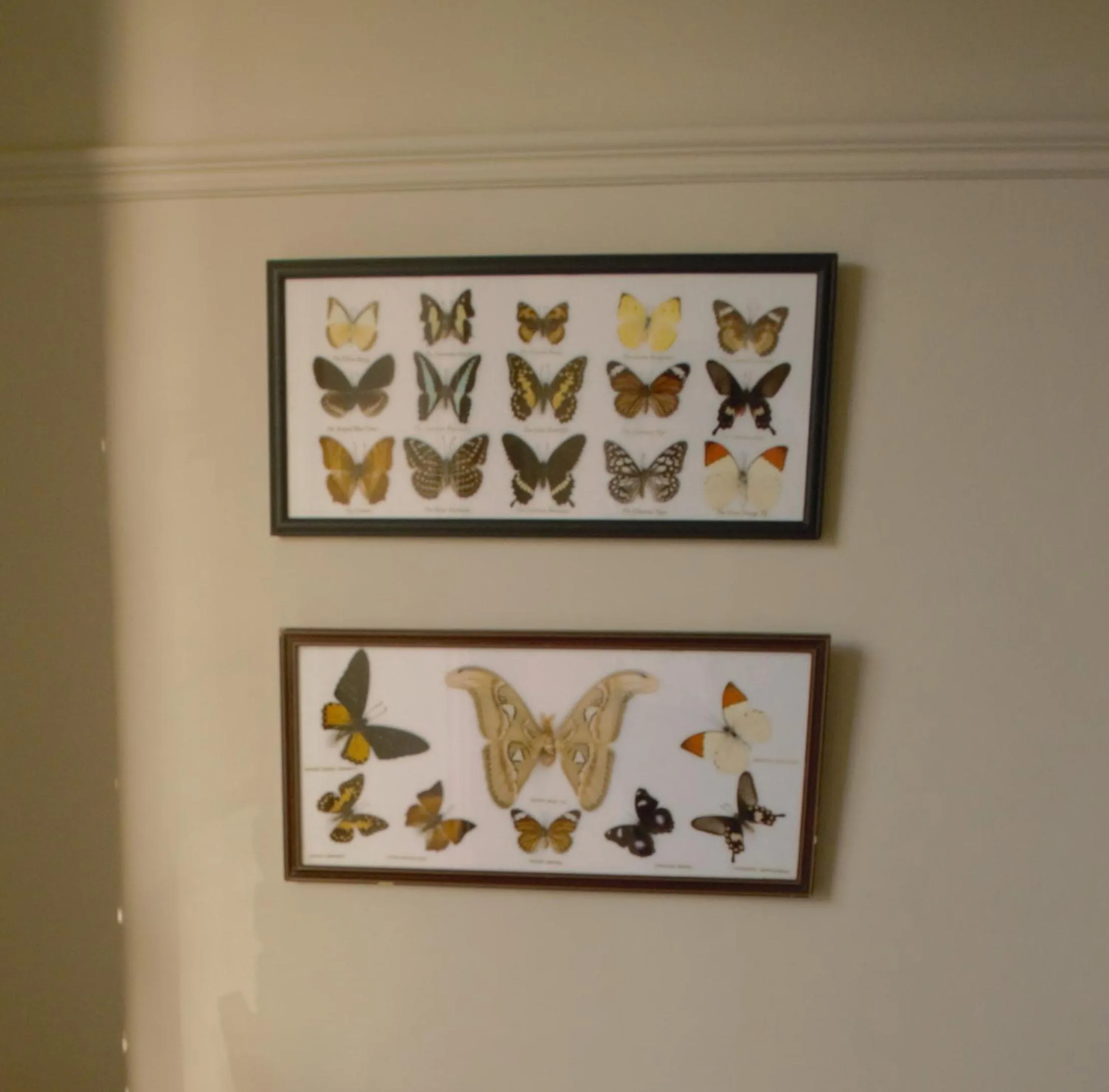 Decorative detail in Sankence lodge B&B