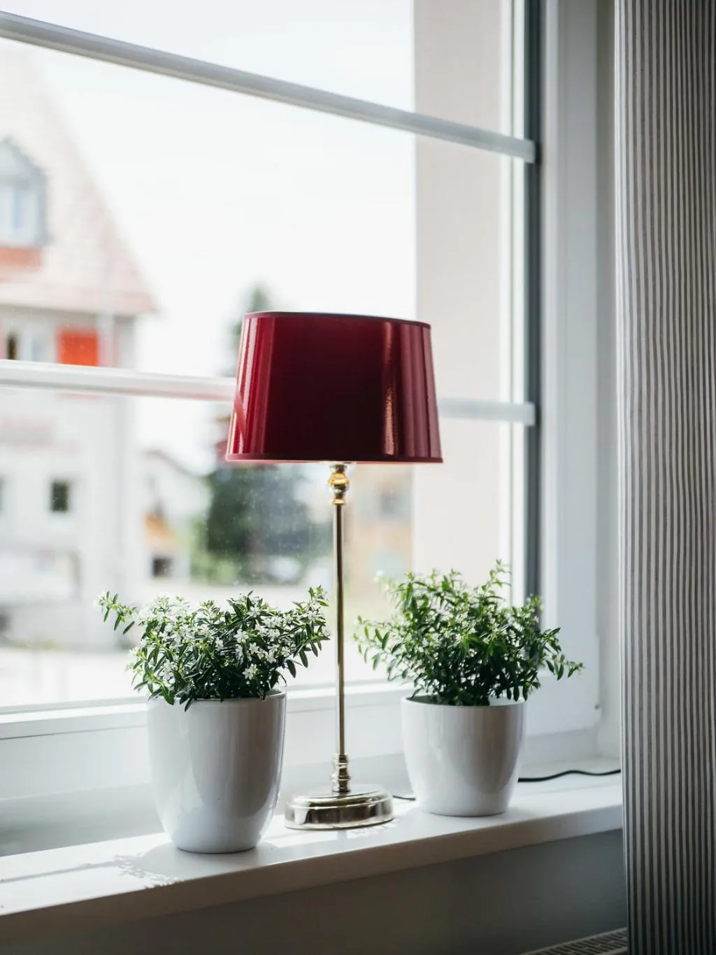 Area and facilities in Landhotel Adler