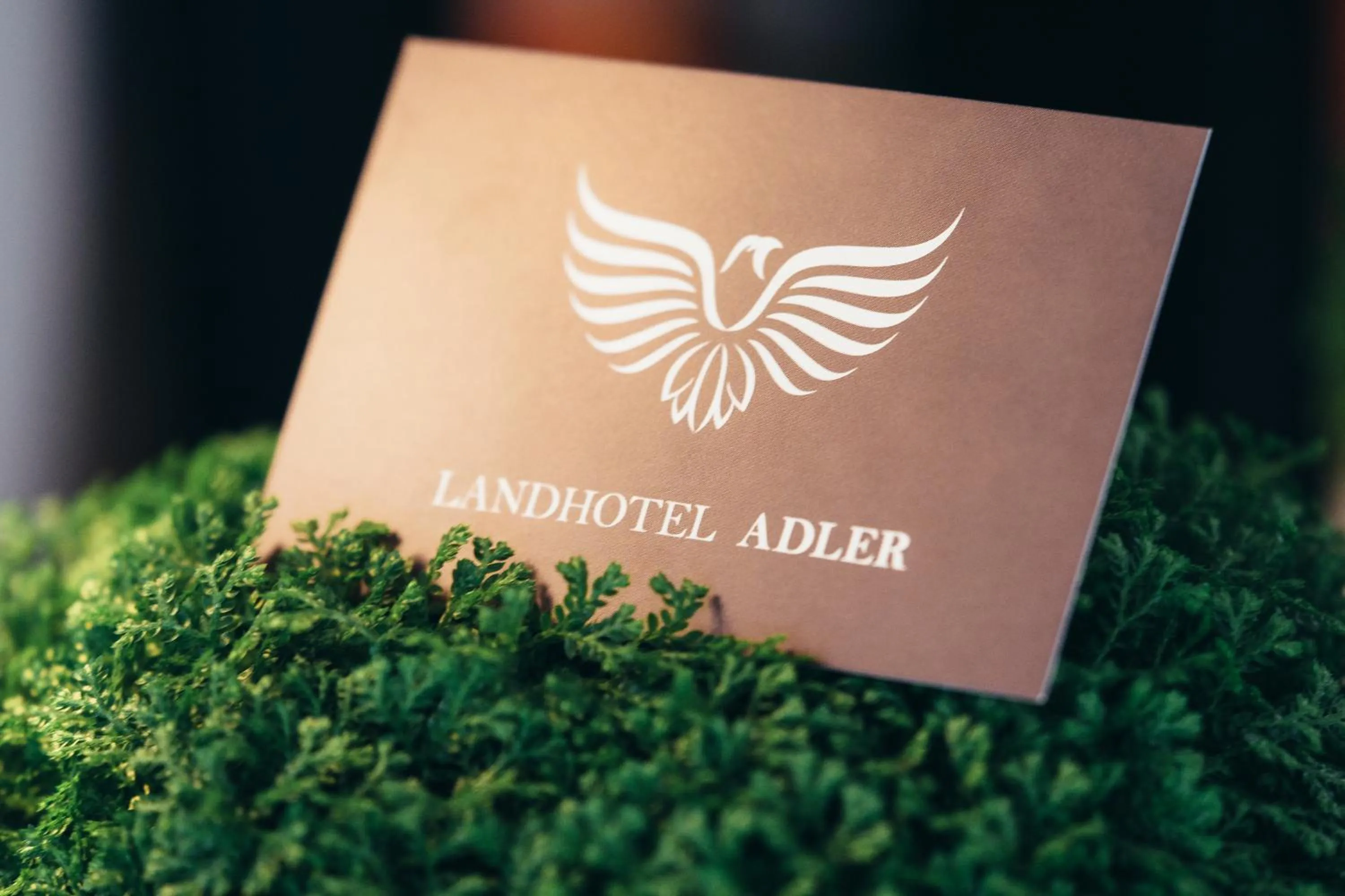 Property logo or sign in Landhotel Adler