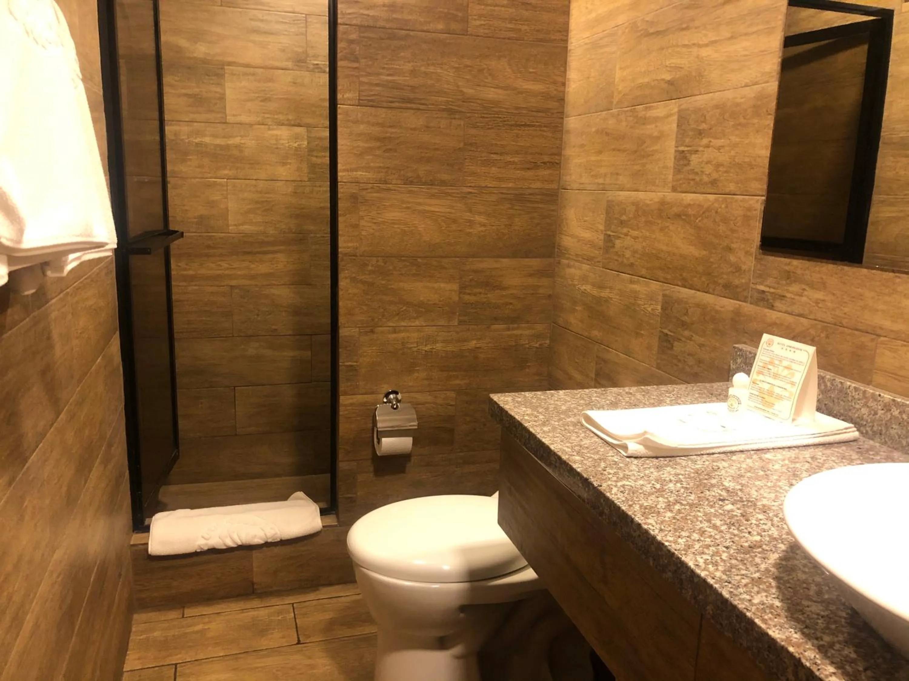 Bathroom in Hotel Ambassador