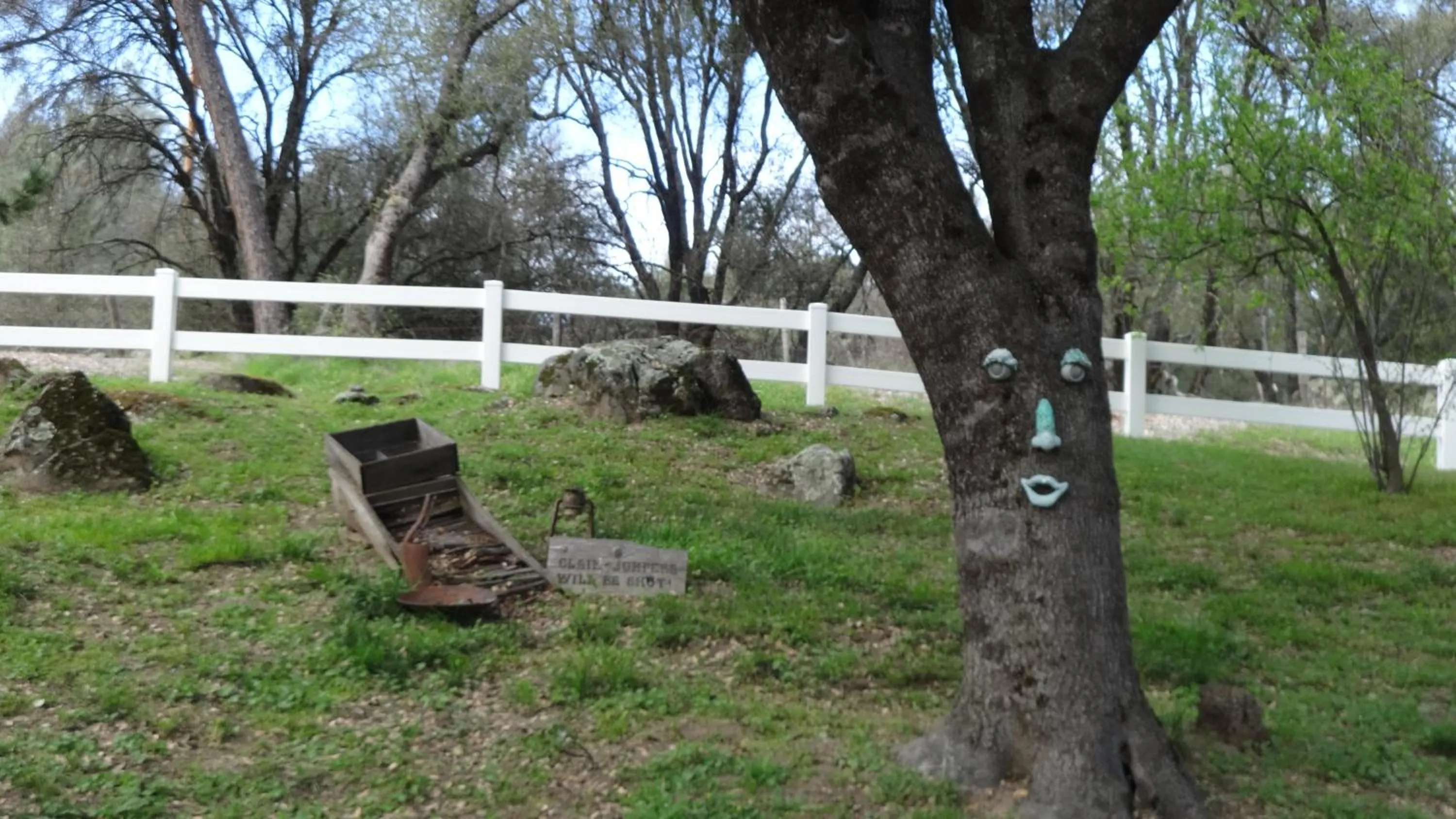 Garden in Little Valley Inn