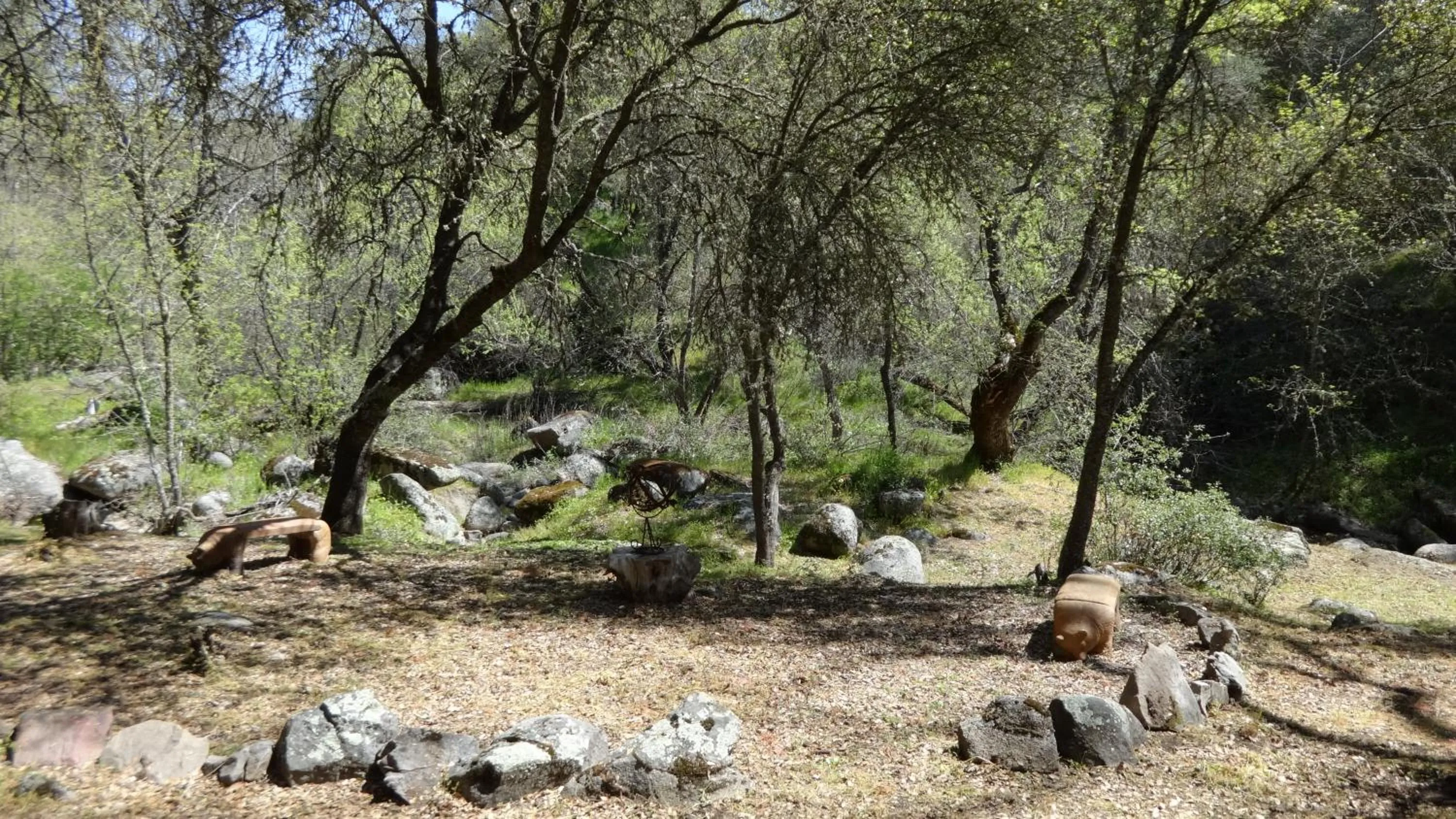 Natural landscape in Little Valley Inn