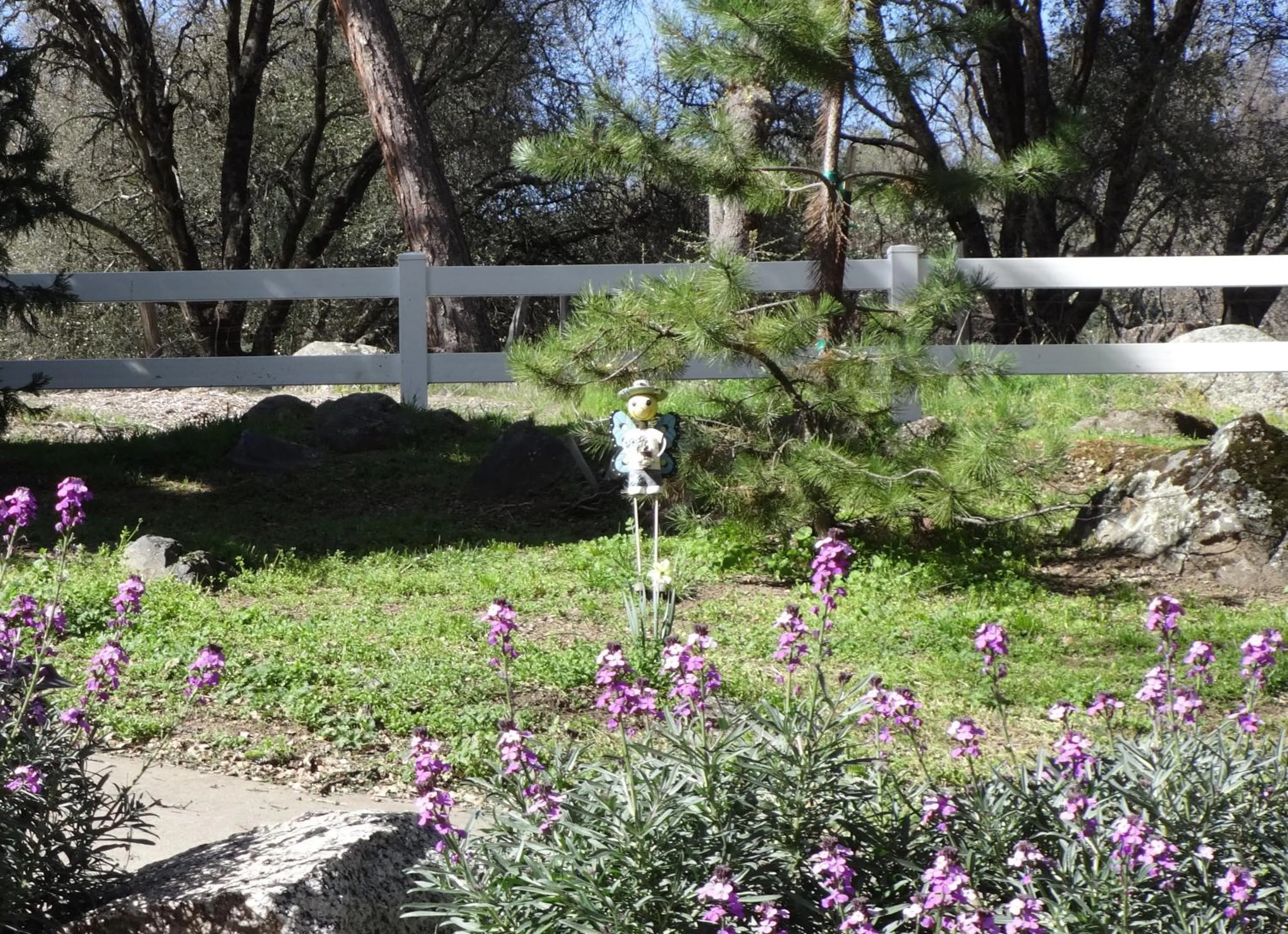 Neighbourhood in Little Valley Inn