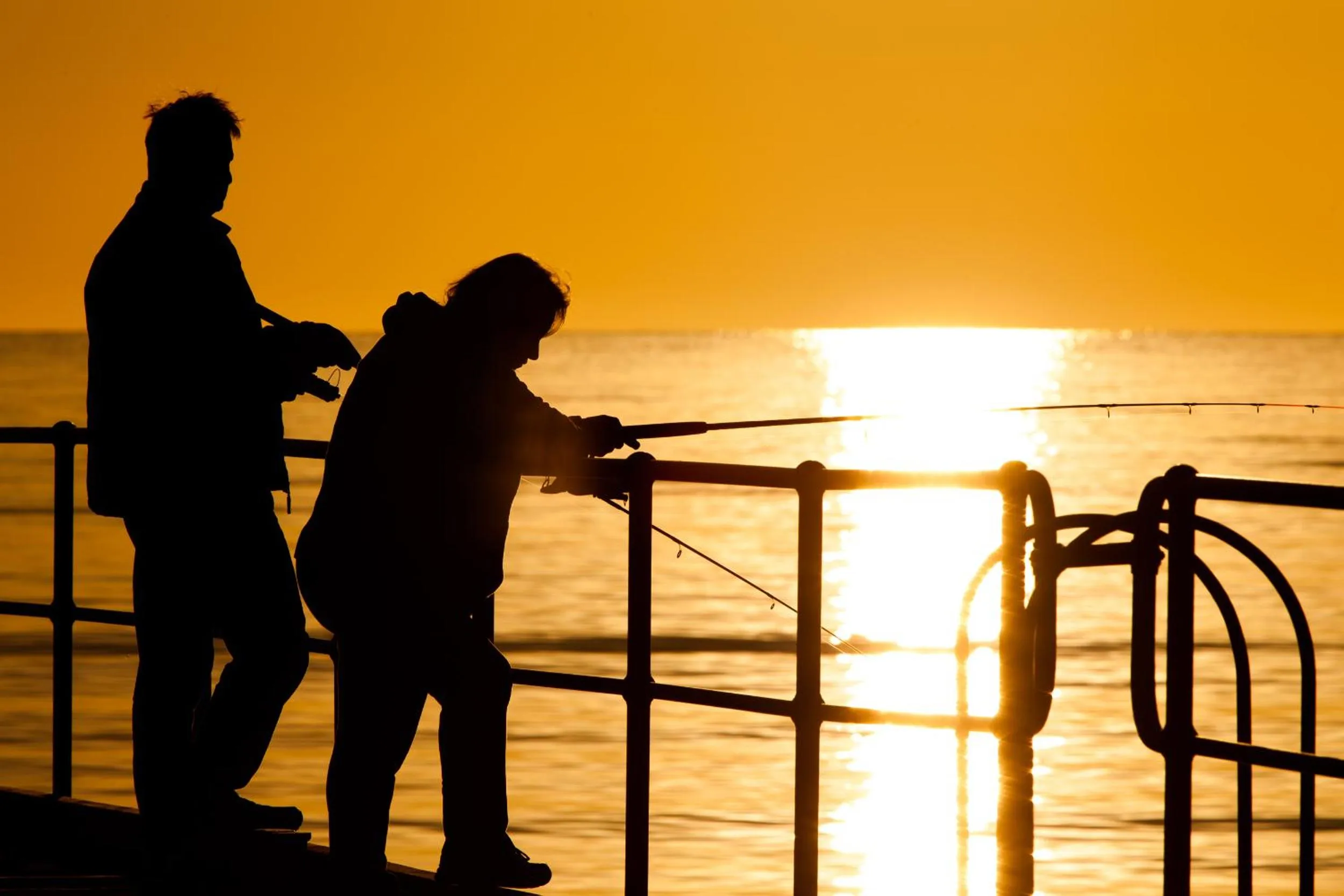 Fishing in Modra's Apartments