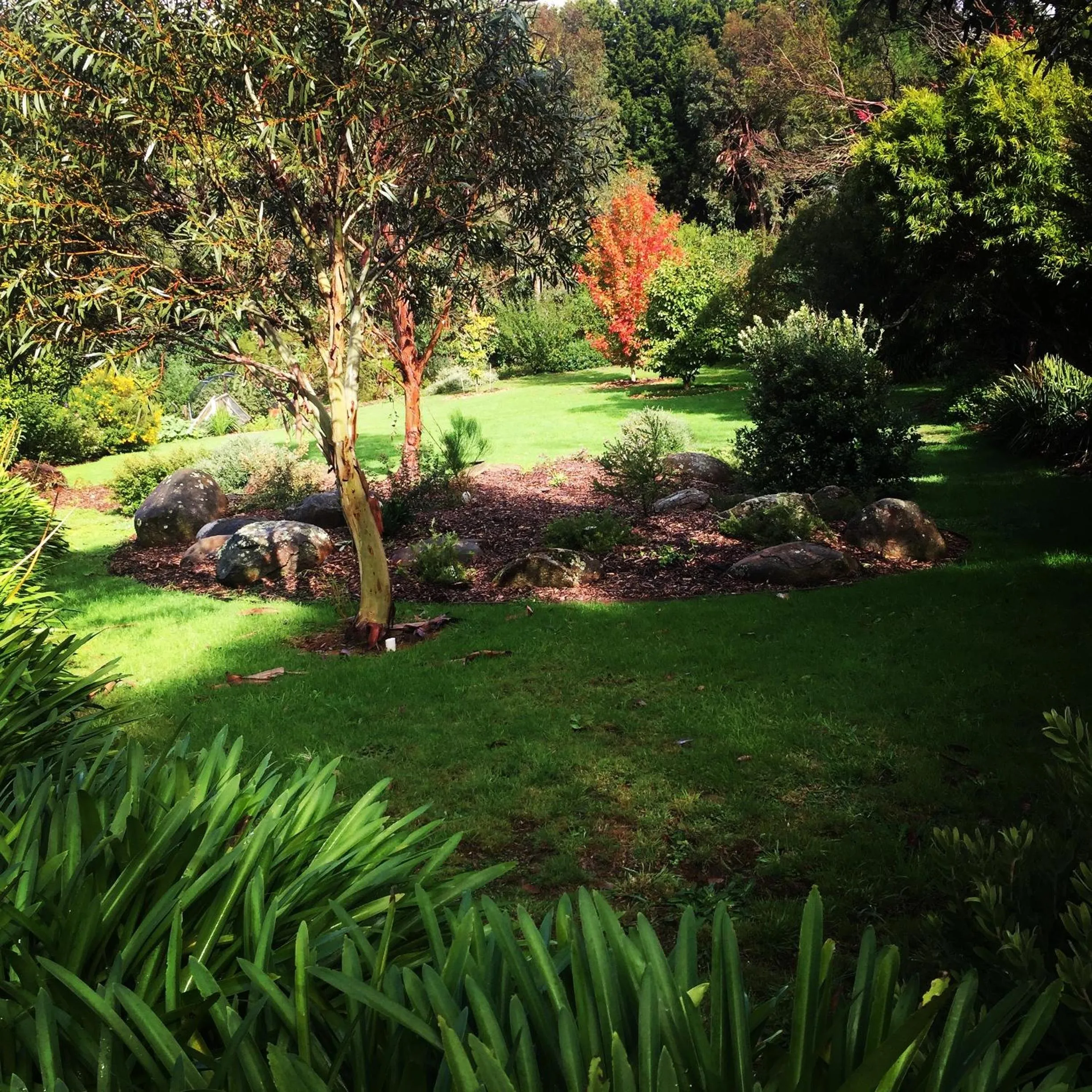 Garden in Llarrinda Bed & Breakfast