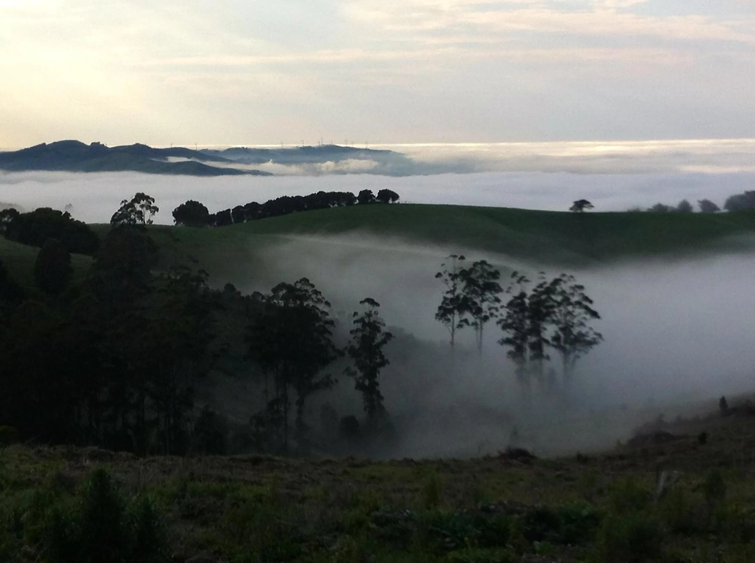 View (from property/room) in Llarrinda Bed & Breakfast