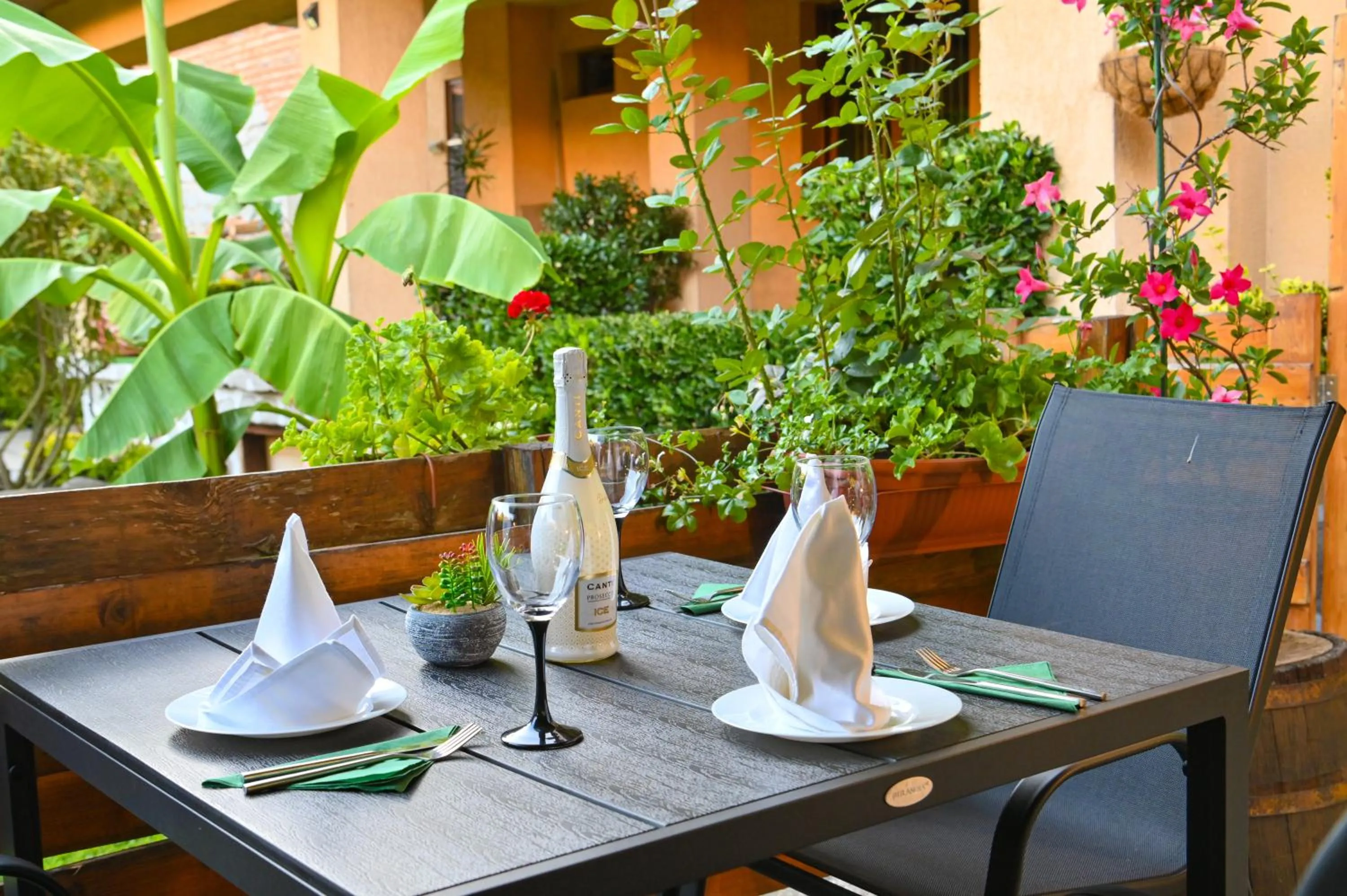 Garden in Hotel Rothmans-Breakfast - Free parking - Lobby