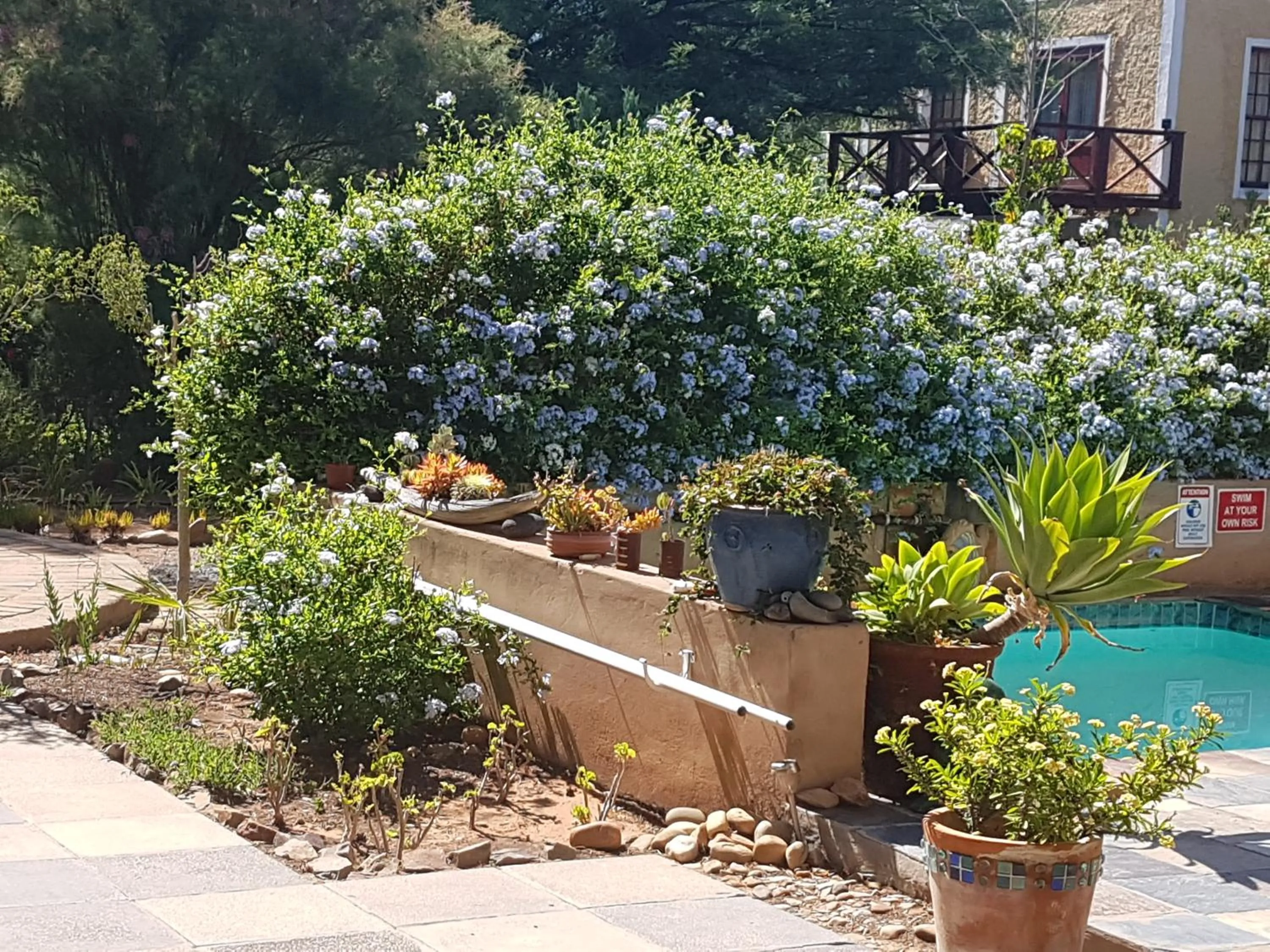 Garden in Steytlerville Villa Guest house