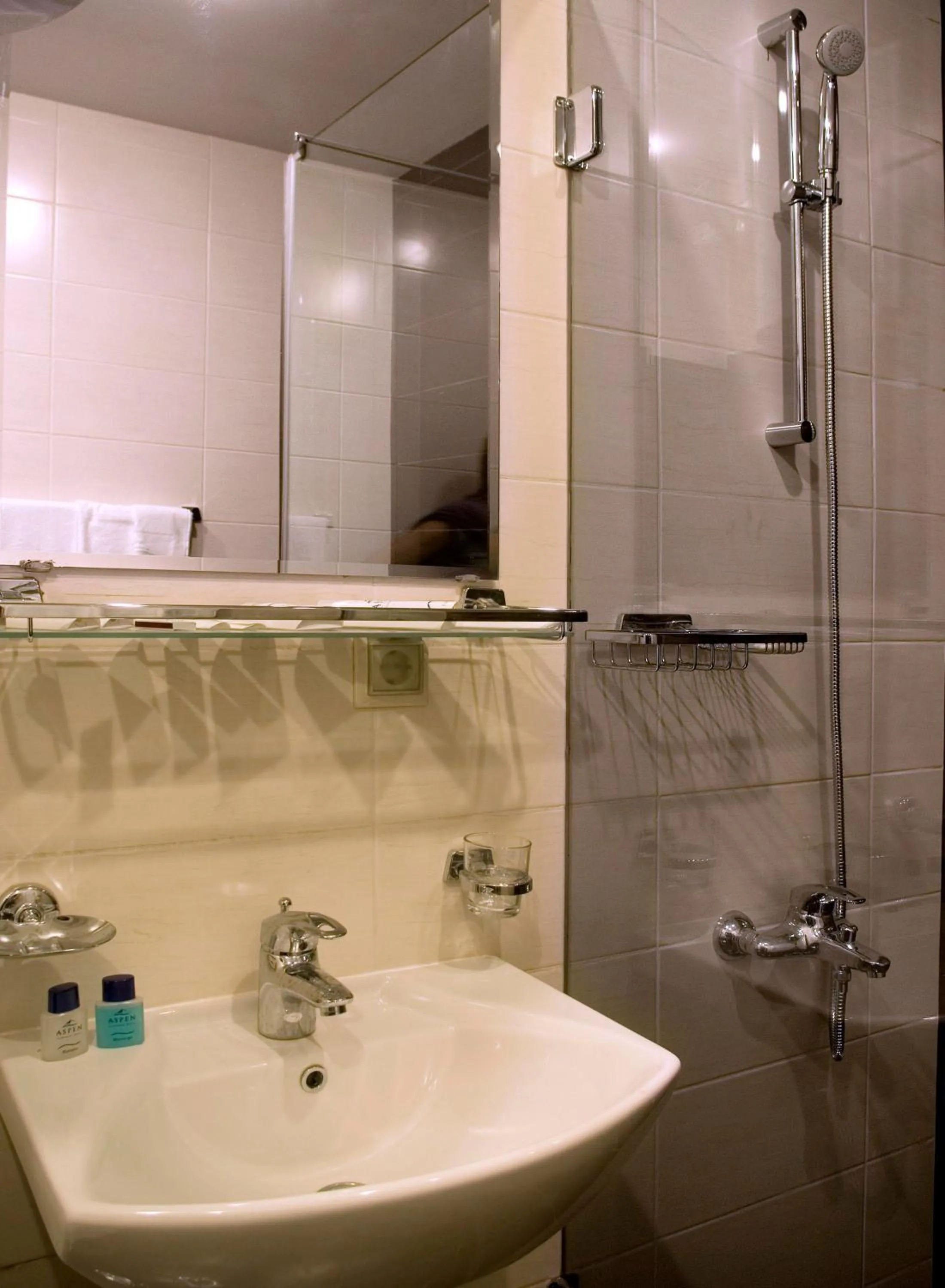 Bathroom in Aparthotel Aspen