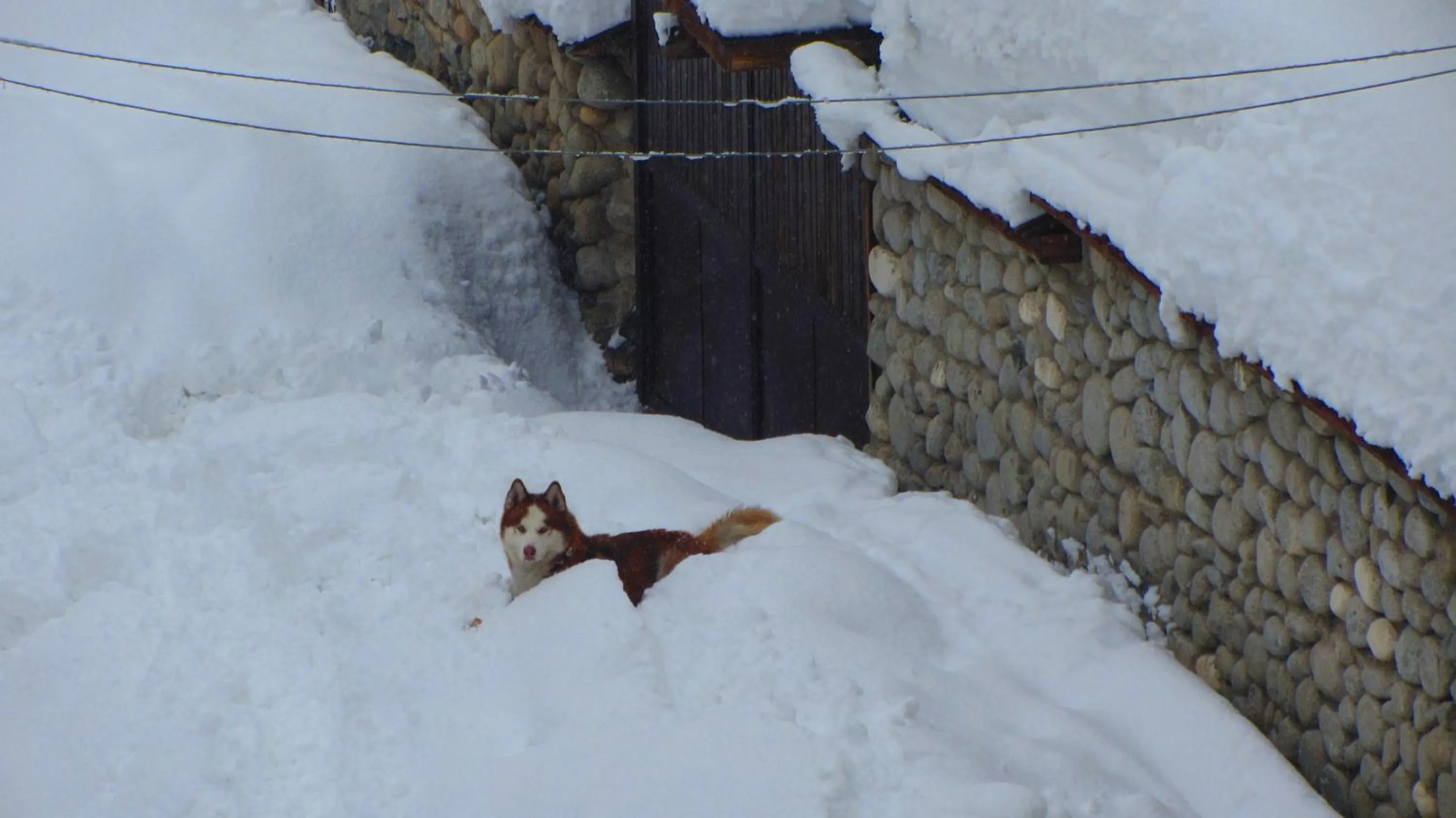 Facade/entrance in Family Hotel Santo Bansko