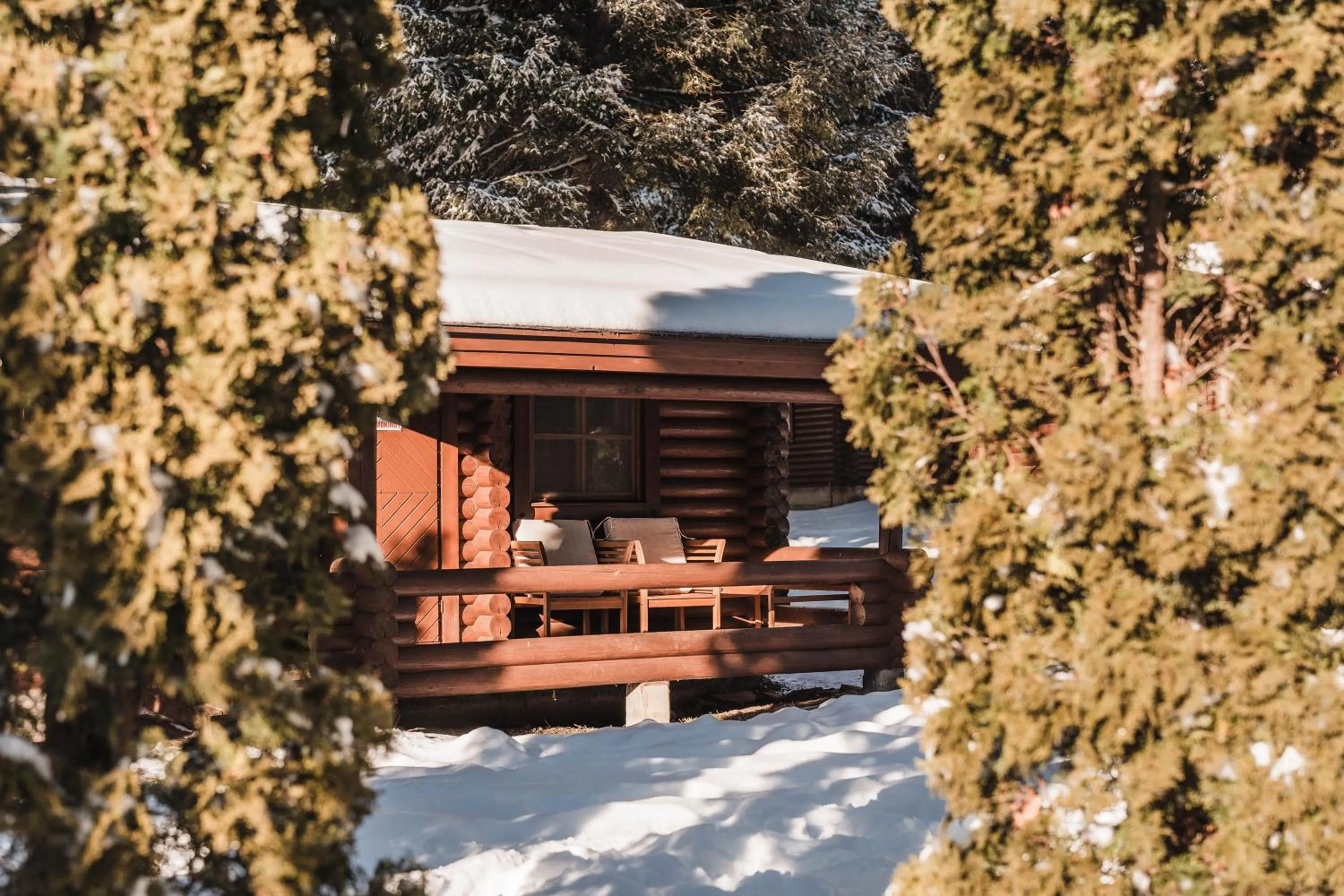 Day in Villas Jagoda & Malina