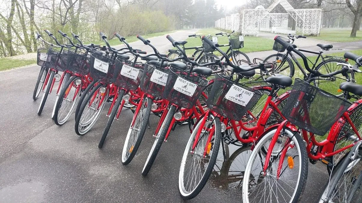 Cycling in Nikolai 9 City Centre Apartment