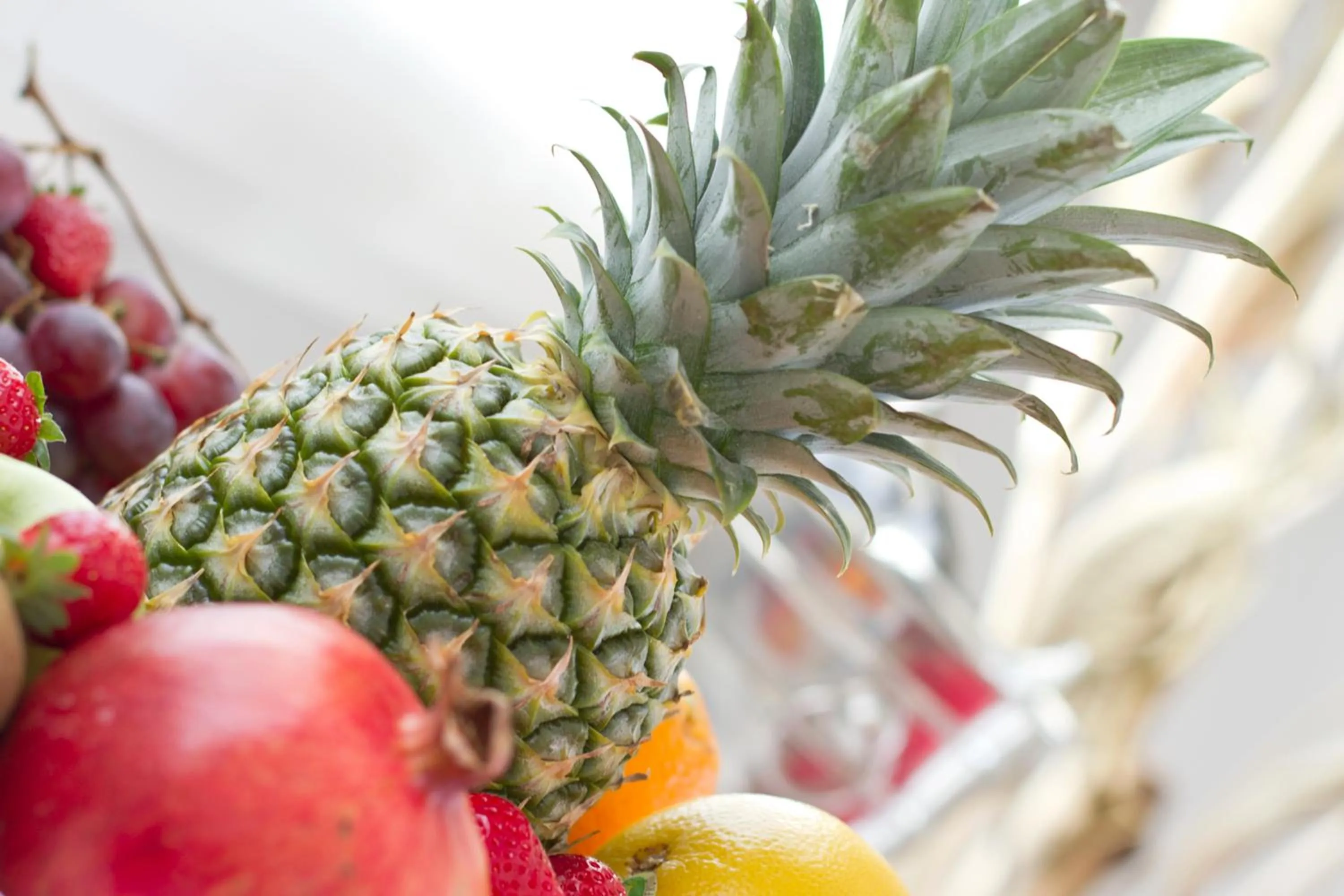 Food in Residence Armony